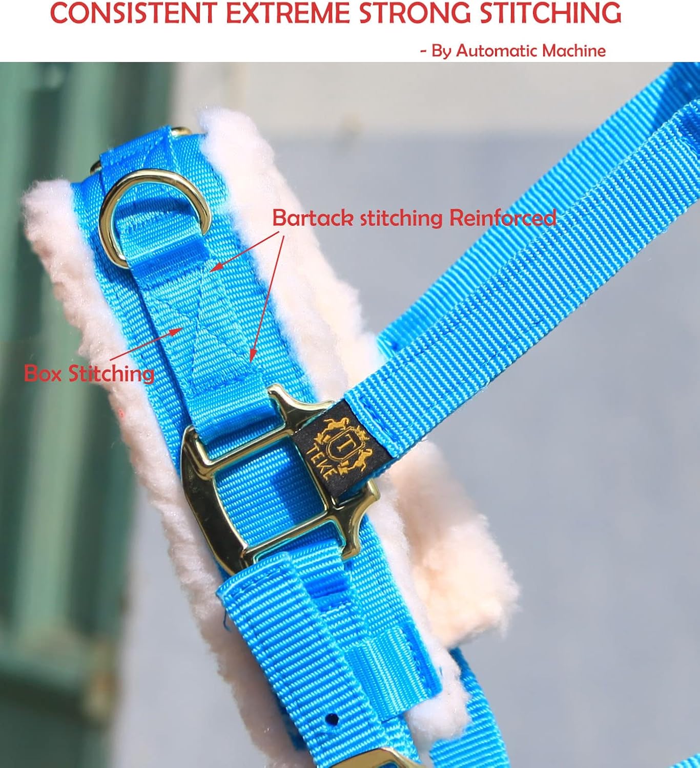 T TEKE Lunge Cavesson with Fleece Lined Nose Band and Crown