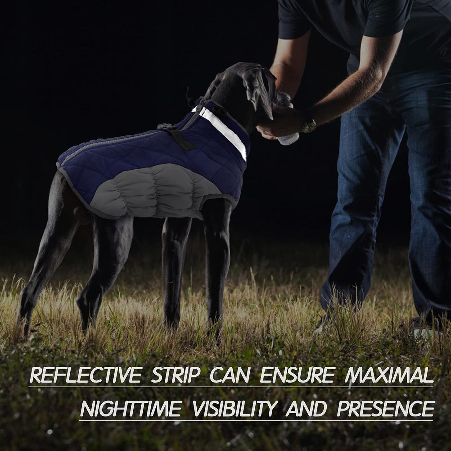 FUAMEY Dog Coat for Small Dogs,Waterproof Dog Winter Jacket with Harness Built in Puppy Cold Weather Coats Reflective Pet Vest with Zipper Warm Fleece Dogs Snowsuit Windproof Blue S