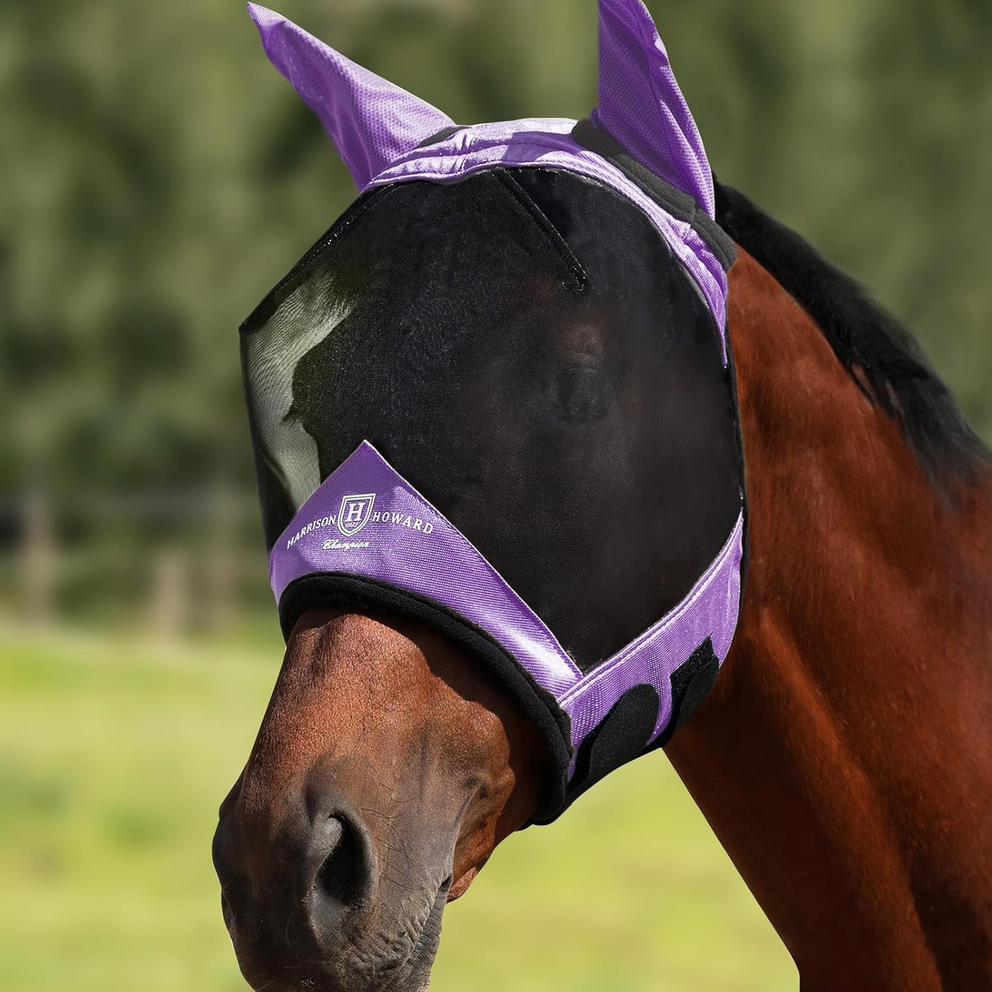 Harrison Howard Pro Luminous Horse Half Face Fly Mask Large Eye Space with Ears UV Protection for Horse Gentle Lavendar M