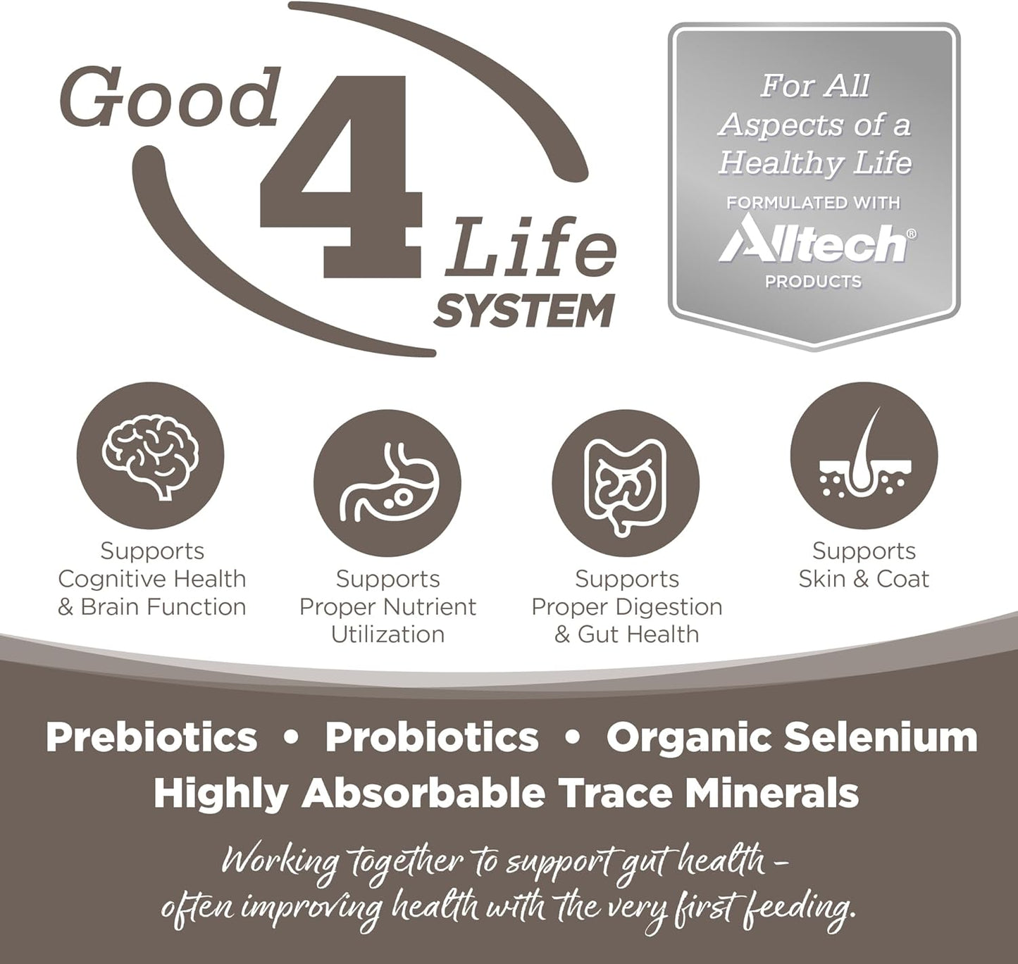 Tuffy'S Pet Food 26503 Nutrisource Senior Dog Food (1 Pack)