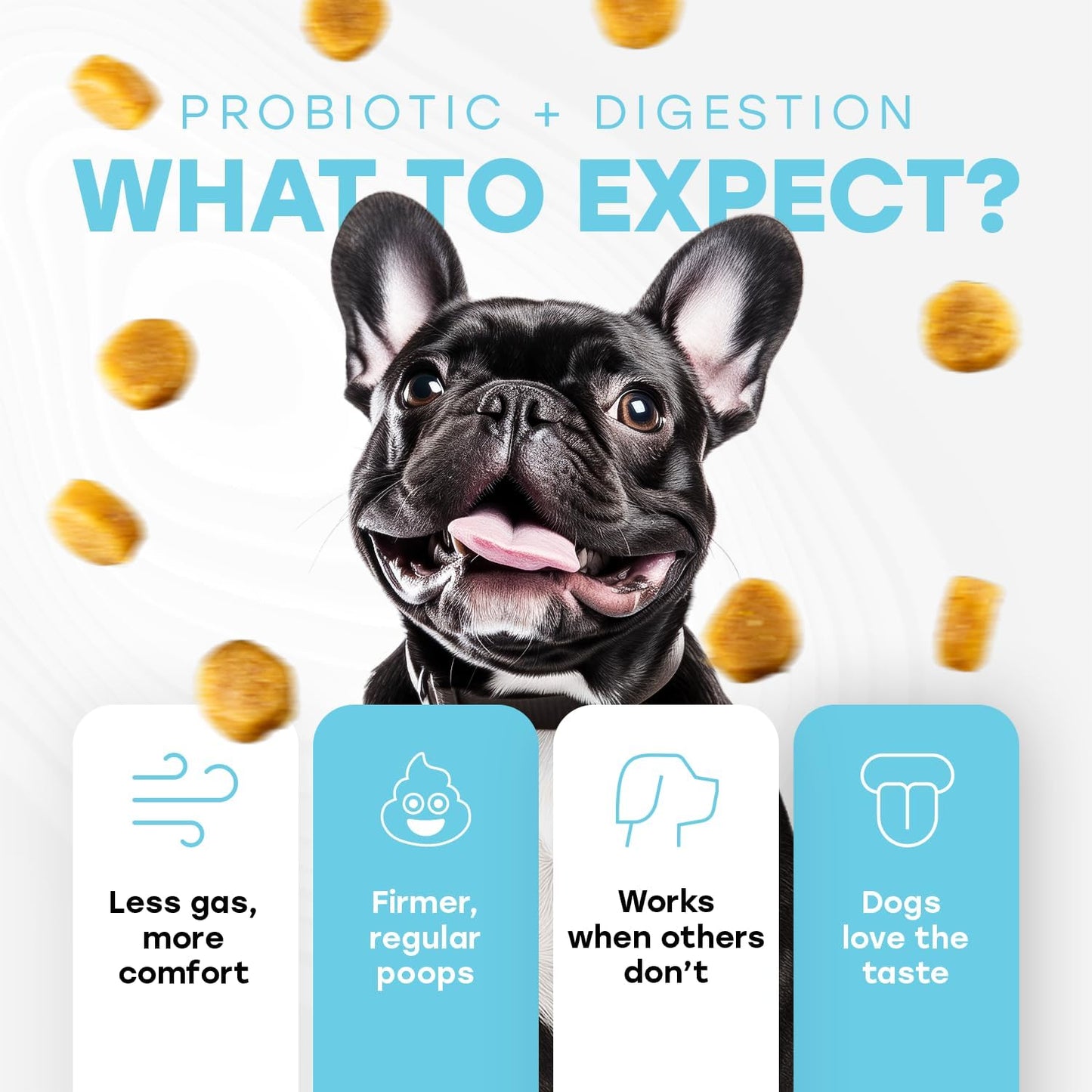 Probiotics for Dogs - PhD Endorsed Digestive Enzymes - Gut Health, Diarrhea & Bowel Support - Dog Treats with Turmeric, Omega-3 & Fiber - Immune Soft 140 Chews - Beef Flavor - Made in USA