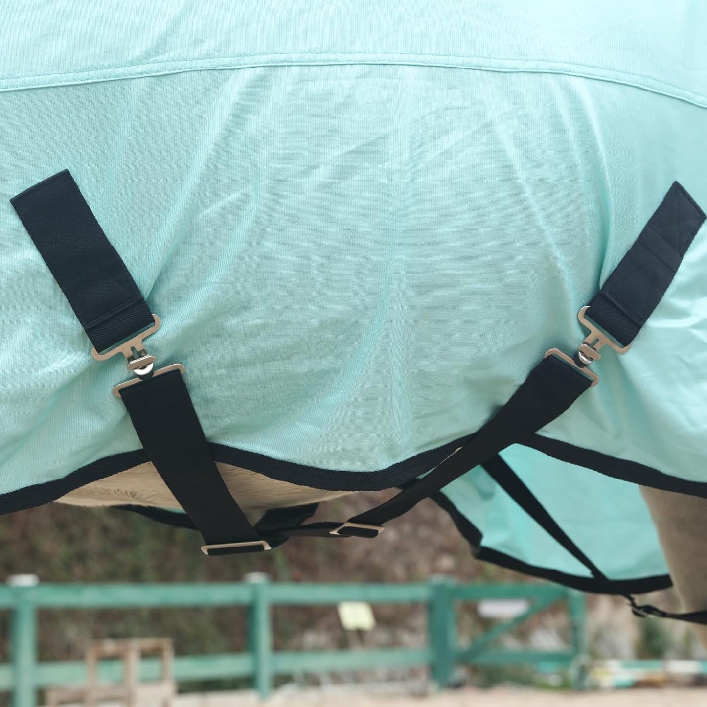 Horse Fly Sheet, Standard Neck Comfy Mesh Fly Sheet for Horses, Equine Summer Sheets UV-Protective Green 69