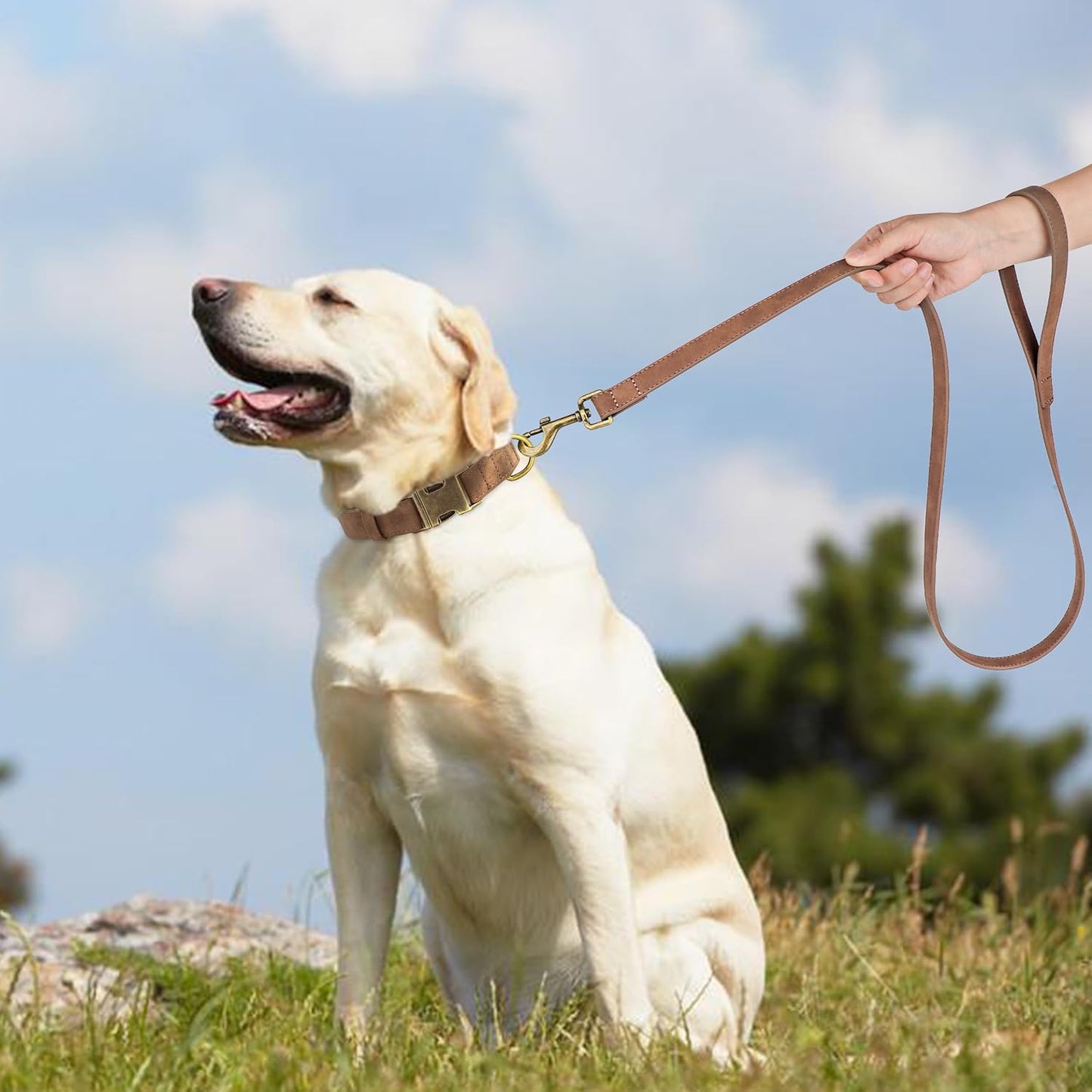 Didog Soft PU Leather Dog Collar, Stylish Quick Released Dog Collar for Large Dogs, Easy Clean Adjustable Pet Collar for Daily Walking, Brown, L Fit 15-23" Neck