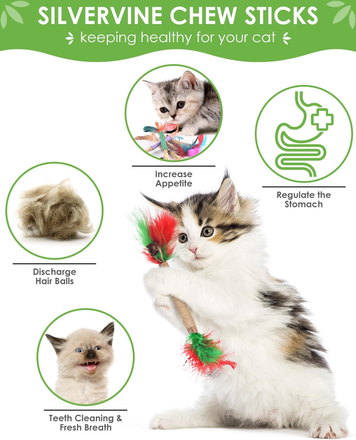 TINDTOP Cat Chew Toys, 12 Pack Silvervine Chew Sticks with 2 Pack Chew Ropes for Kittens Teeth Cleaning, Increase Appetite, Aggressive Chewers Cat Dental Toy