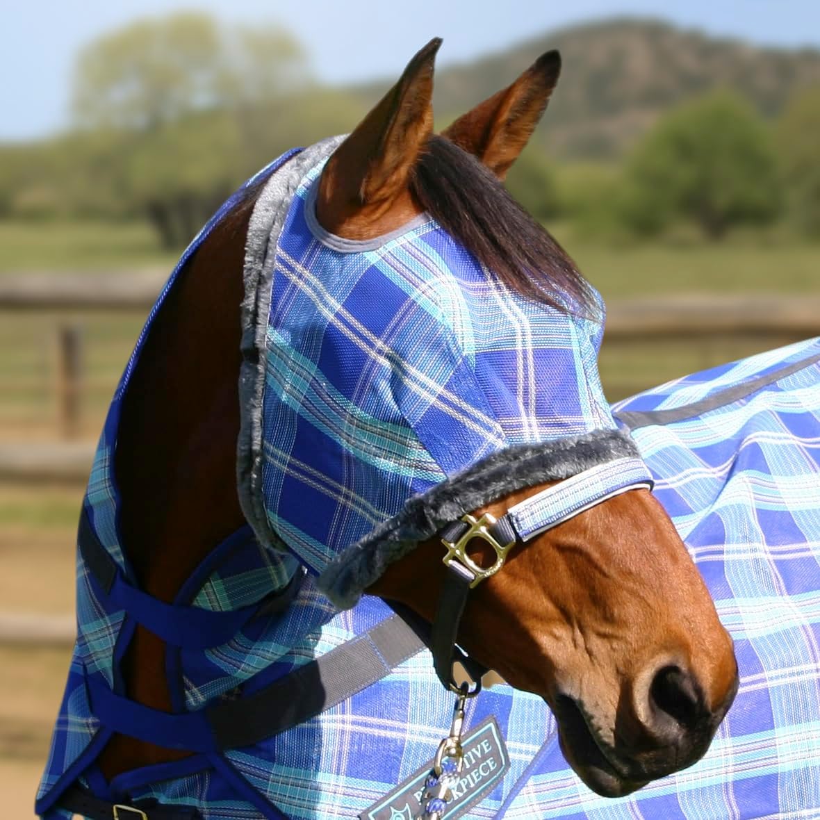 Kensington Fly Mask with Fleece Trim for Horses — Protects Face and Eyes Helps Block Sun Rays While Allowing Full Visibility — Breathable and Non Heat Transferring