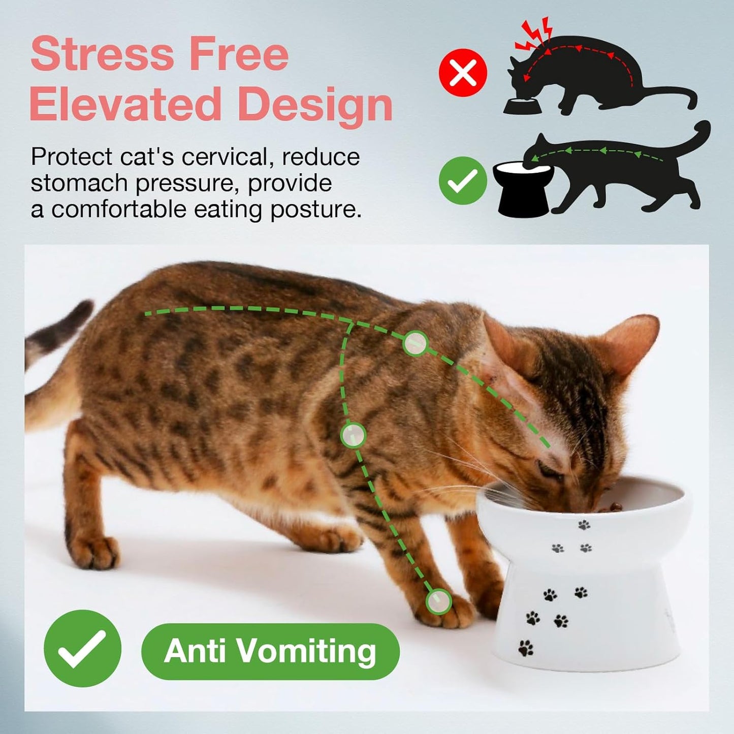 Necoichi Raised Stress Free Cat Food Bowl, Elevated, Backflow Prevention, Dishwasher and Microwave Safe, No.1 Seller in Japan! (Cat, Regular)