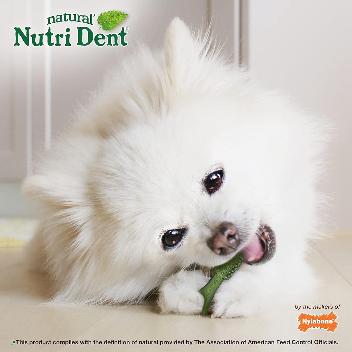 Nylabone Nutri Dent Dog Dental Chews - Natural Dog Teeth Cleaning & Breath Freshener - Dental Treats for Dogs - Fresh Breath Flavor, Mini (32 Count)