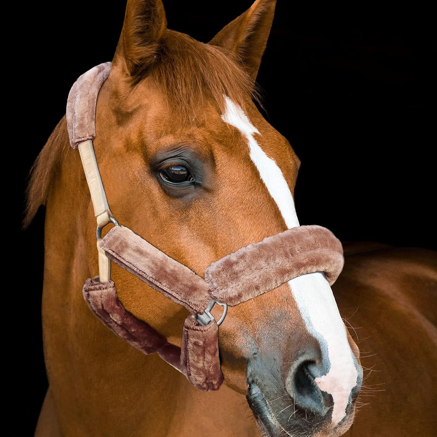 Harrison Howard Horse Halter Fleece Cover Set 9 Pieces