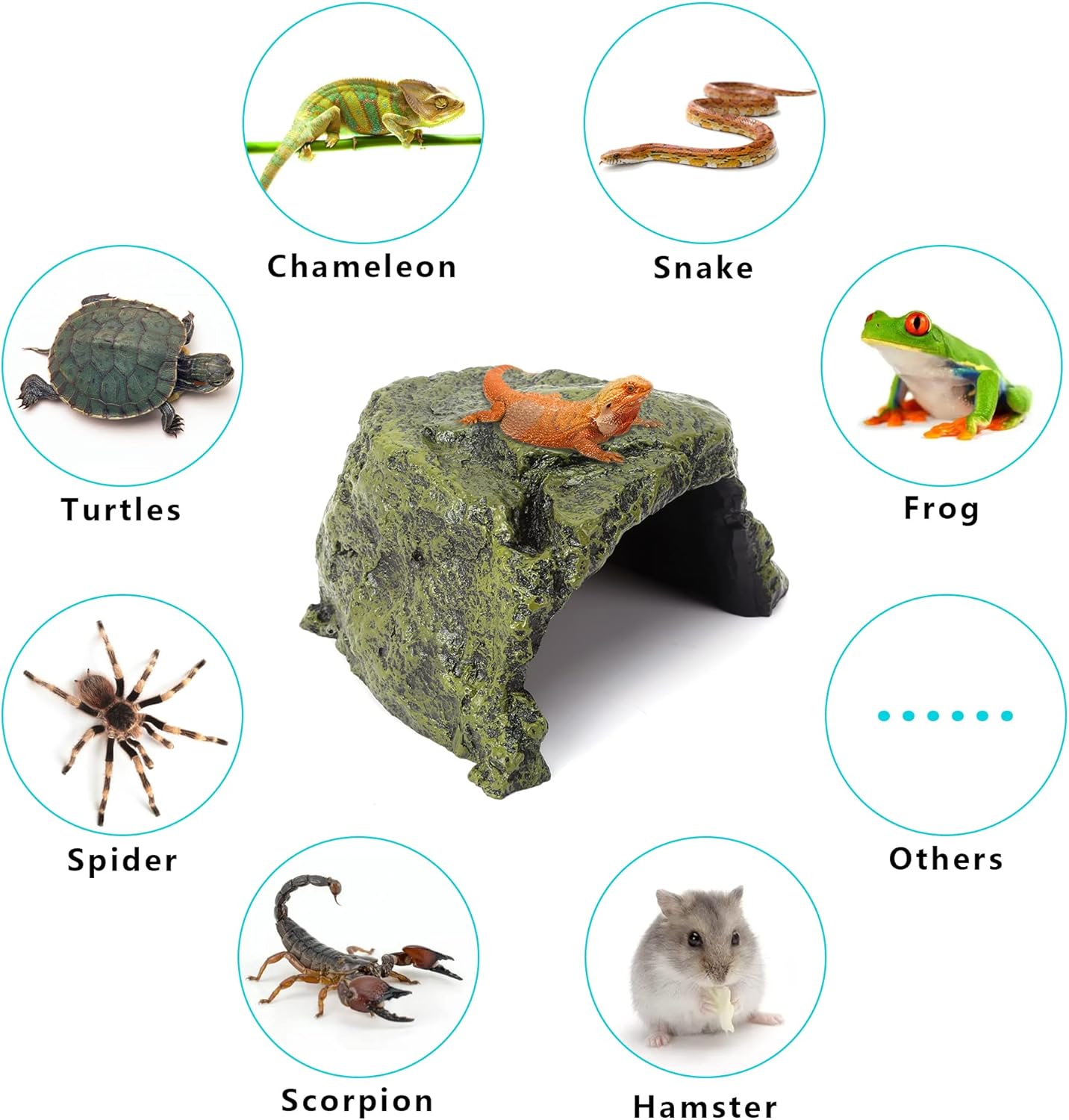 Reptile Rock Hide Cave - World 9.99 Mall Reptile Rock Hide Habitat Decoration|Natural,Non-Toxic, Made of Resin | Hideout for Small Lizards, Turtles, Reptiles, Amphibians,Fish