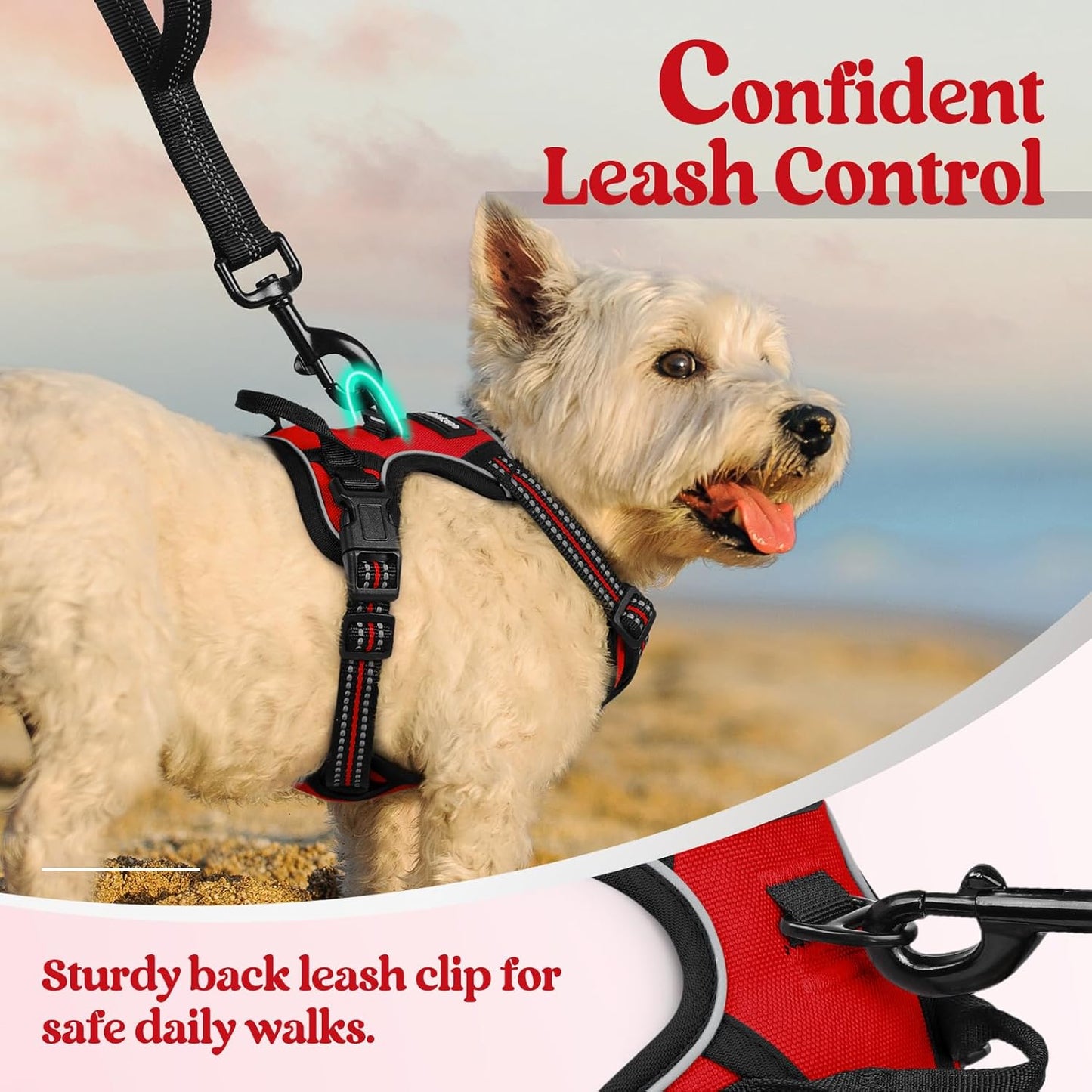 rabbitgoo Dog Harness No Pull with 2 Leash Clips, Adjustable Soft Padded, Reflective Oxford No Choke Pet Vest with Easy Control Handle for Puppy, Red,XS