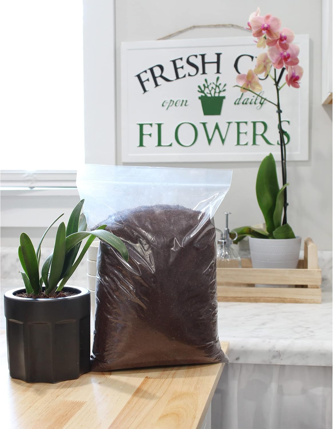 Loose Coconut Coir Mix (8 Quarts), Coconut Coir for Home Gardening - All Natural Soil additive - pH Balanced and Double Washed Coco Peat