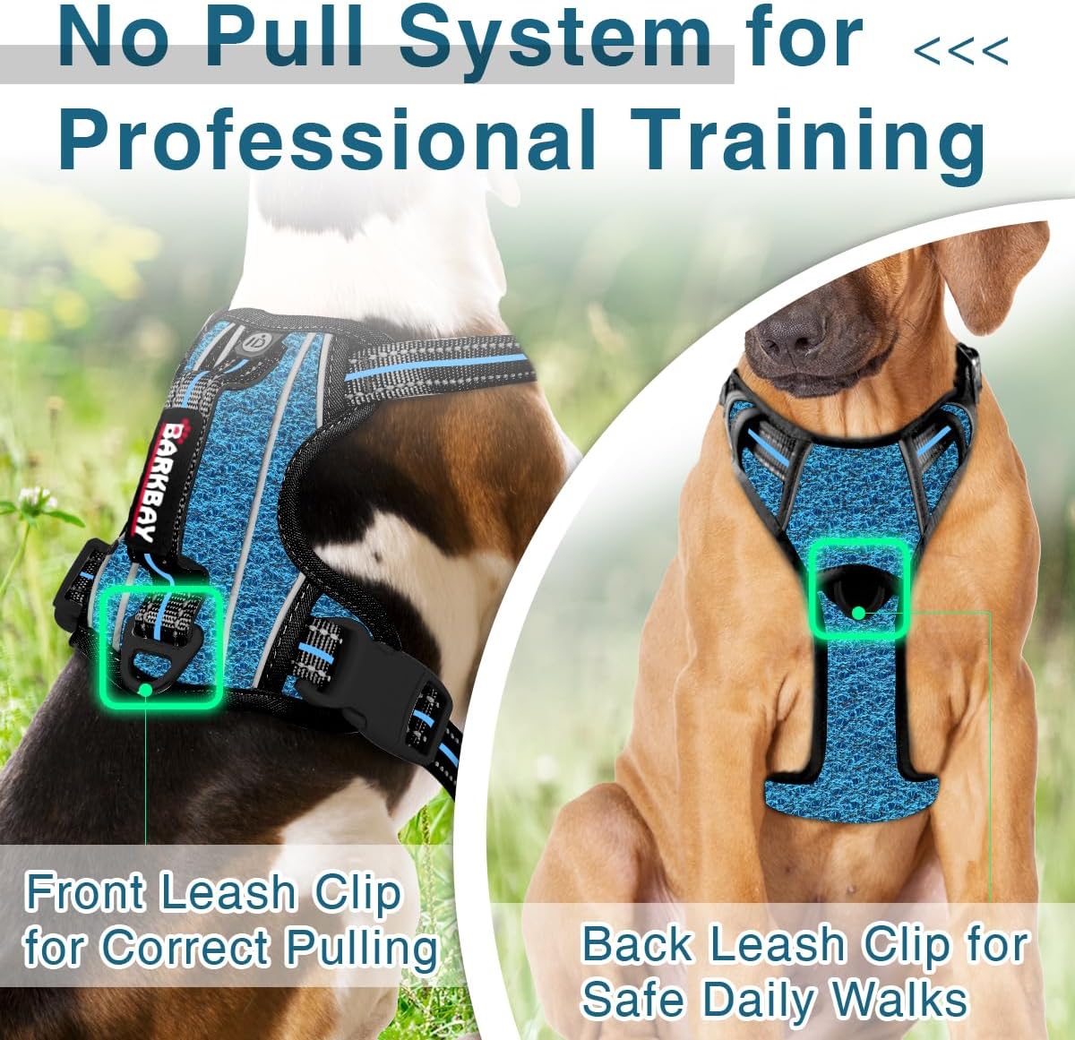 BARKBAY Dog Harness No Pull with ID Tag Pocket - Heavy Duty, Reflective, Easy Control for Large Dogs(Blue/Black,XL)