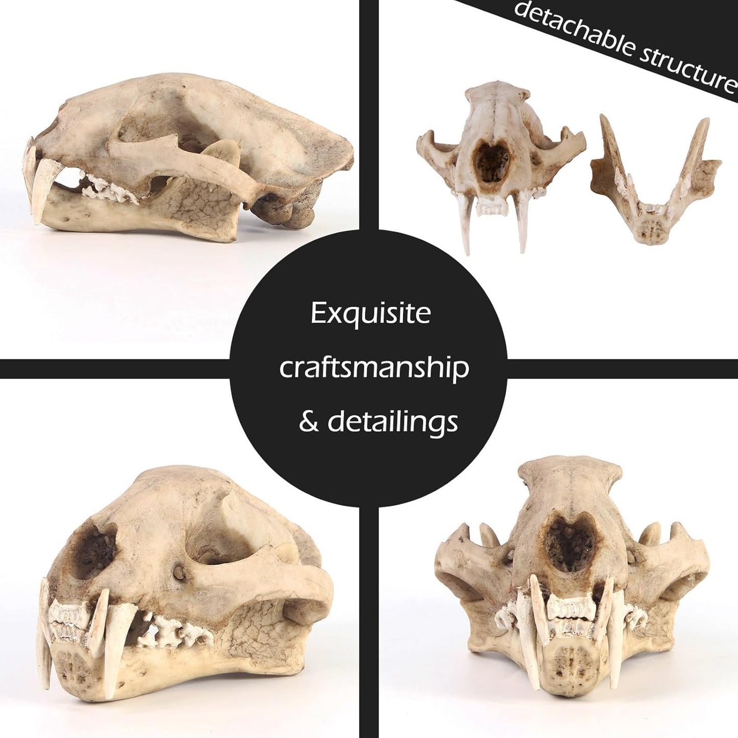 Aquarium Décor Cave Decorations Fish Hideout Betta Tarantula Reptile Snake for Terrarium Ornament Dinosaur Animal Skull Large Bones Halloween