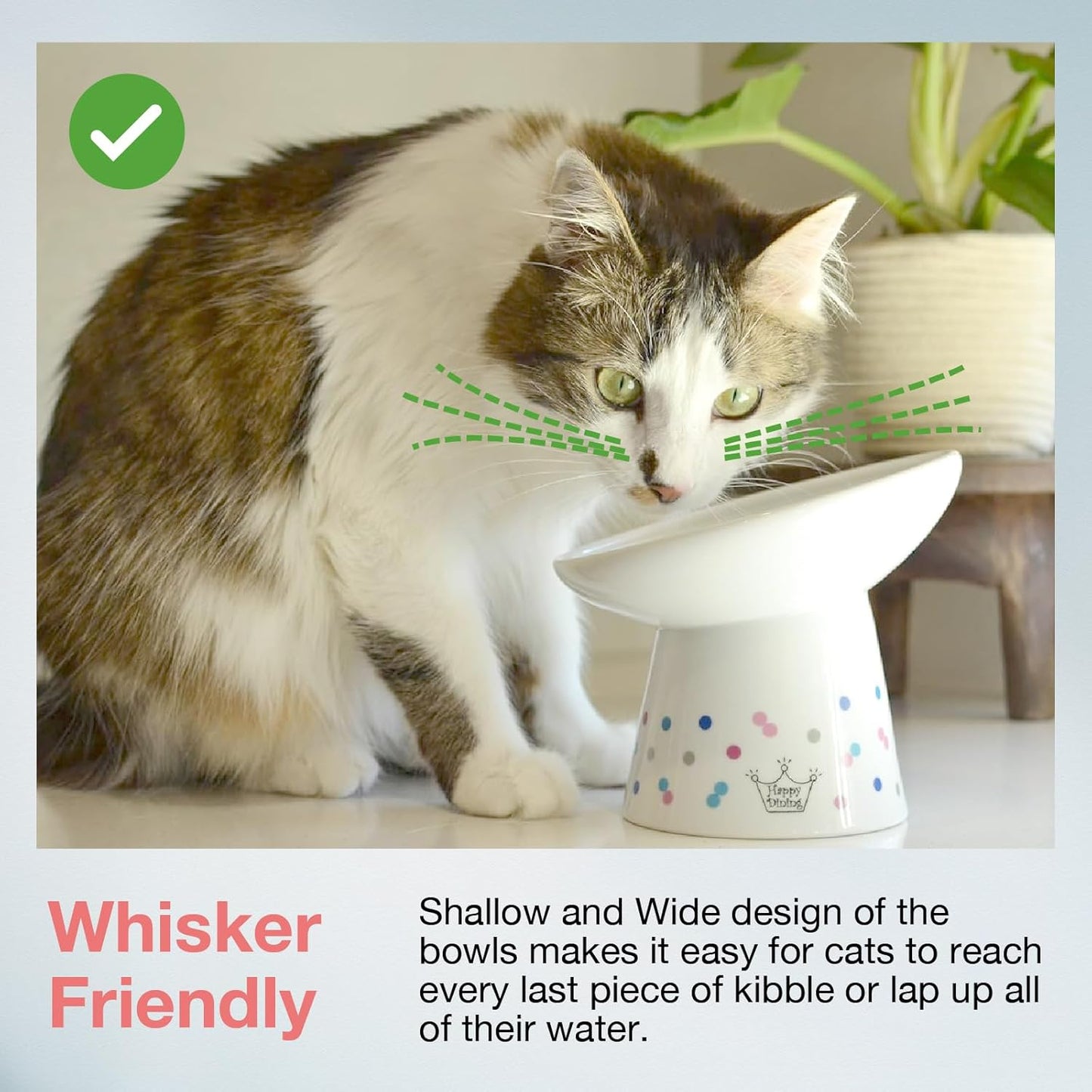 Necoichi Extra Wide Raised Cat Food Bowl, Elevated, Prevent Neck & Whisker Fatigue, Dishwasher and Microwave Safe, No.1 Seller in Japan! (Colorful Dots Limited Edition, Extra Wide Tilted)