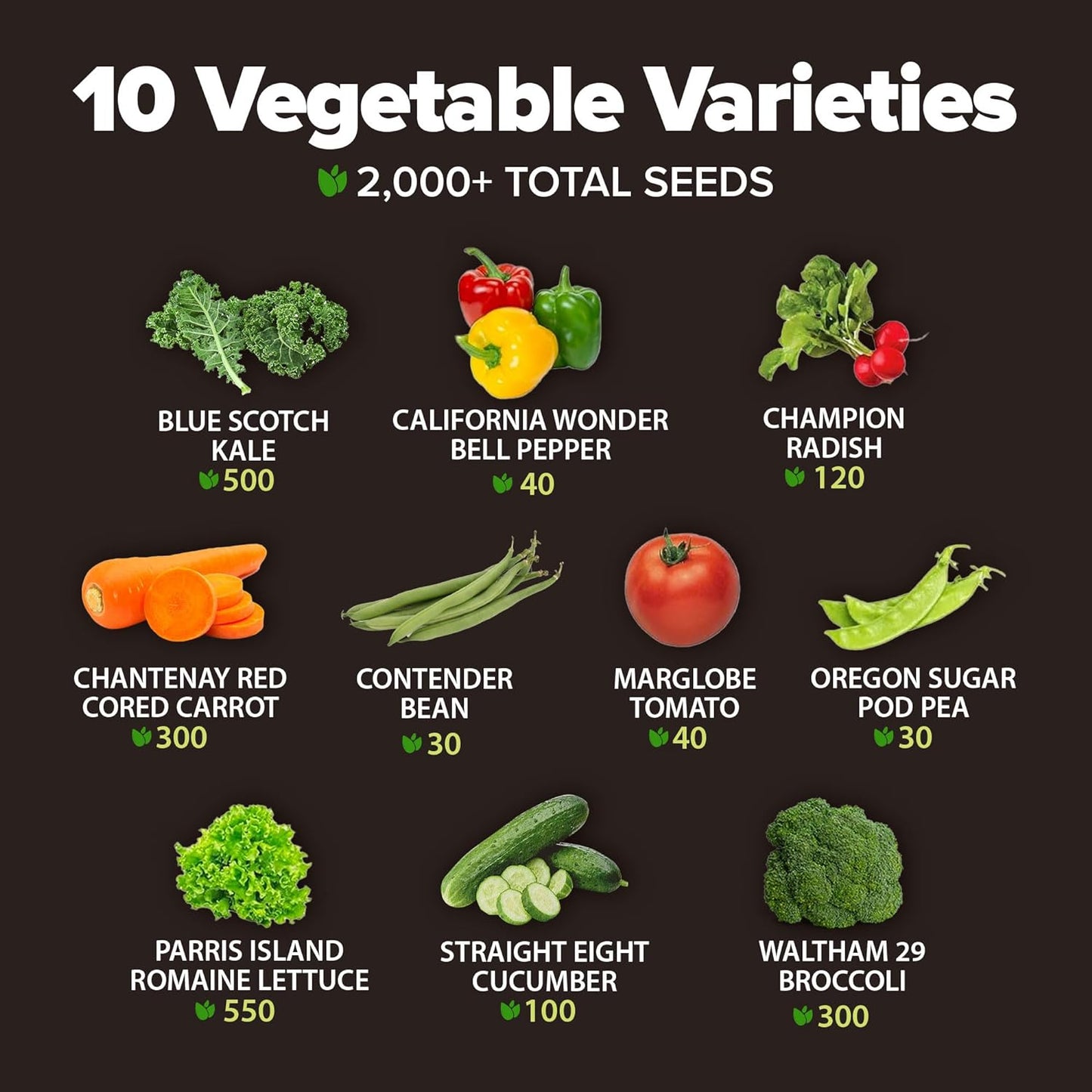 HOME GROWN 𝗨𝗦𝗔 𝗣𝗥𝗘𝗠𝗜𝗨𝗠 10 Variety Vegetable 2,000+ 𝗡𝗢𝗡-𝗚𝗠𝗢 Seeds (Kale Lettuce Tomato Broccoli Beans Peas Bell Peppers Carrot Cucumber Radish) – Indoor & Outdoor Garden Survival Seeds