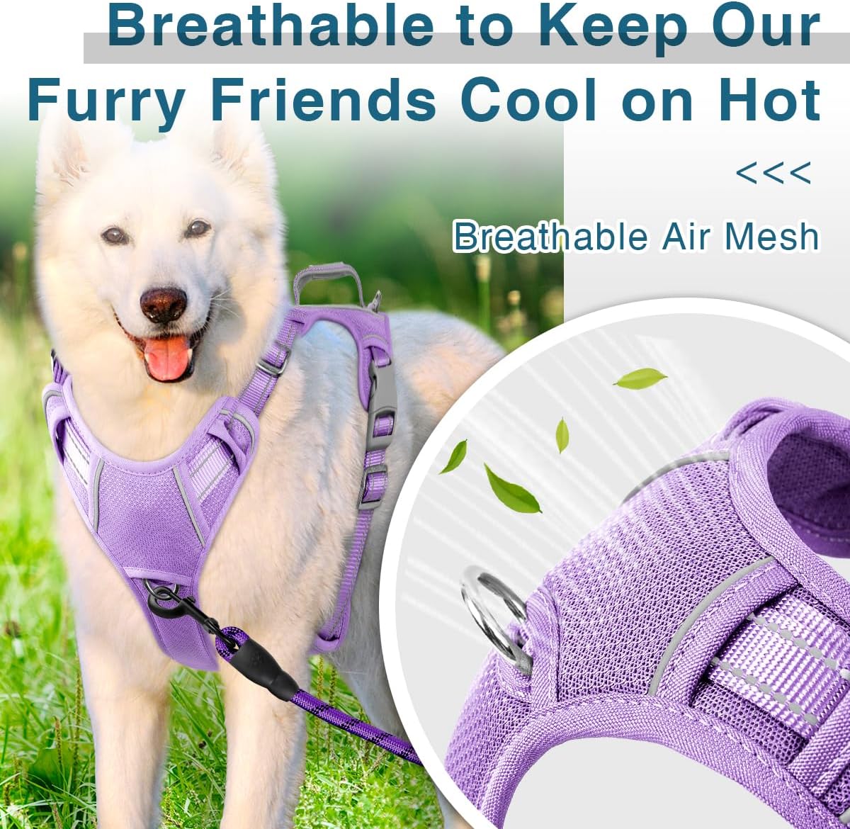 BARKBAY Dog Harness No Pull with ID Tag Pocket - Heavy Duty, Reflective, Easy Control for Large Dogs(Violet Purple,S)