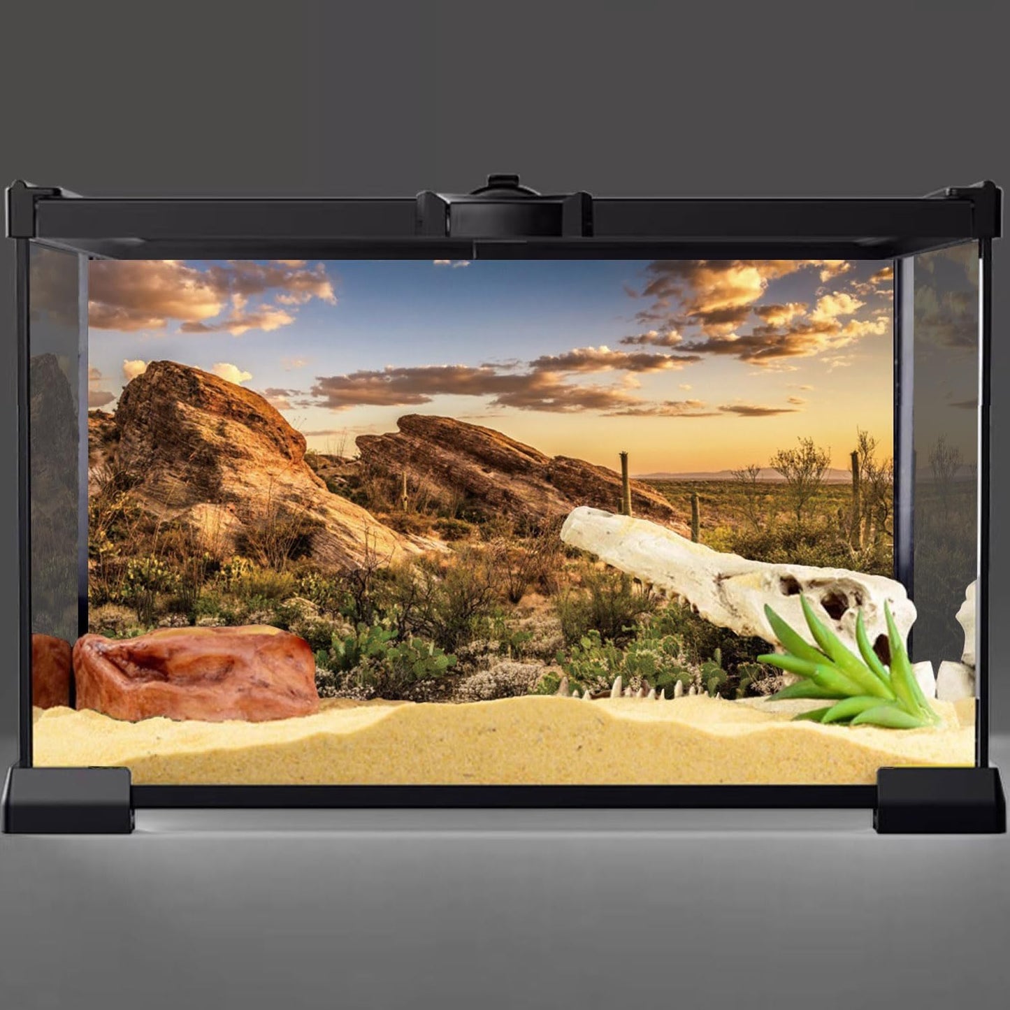 AWERT Reptile Habitat Background Blue Sky Oasis Cactus Sun and Desert Terrarium Background 48x24 inches Durable Polyester Background