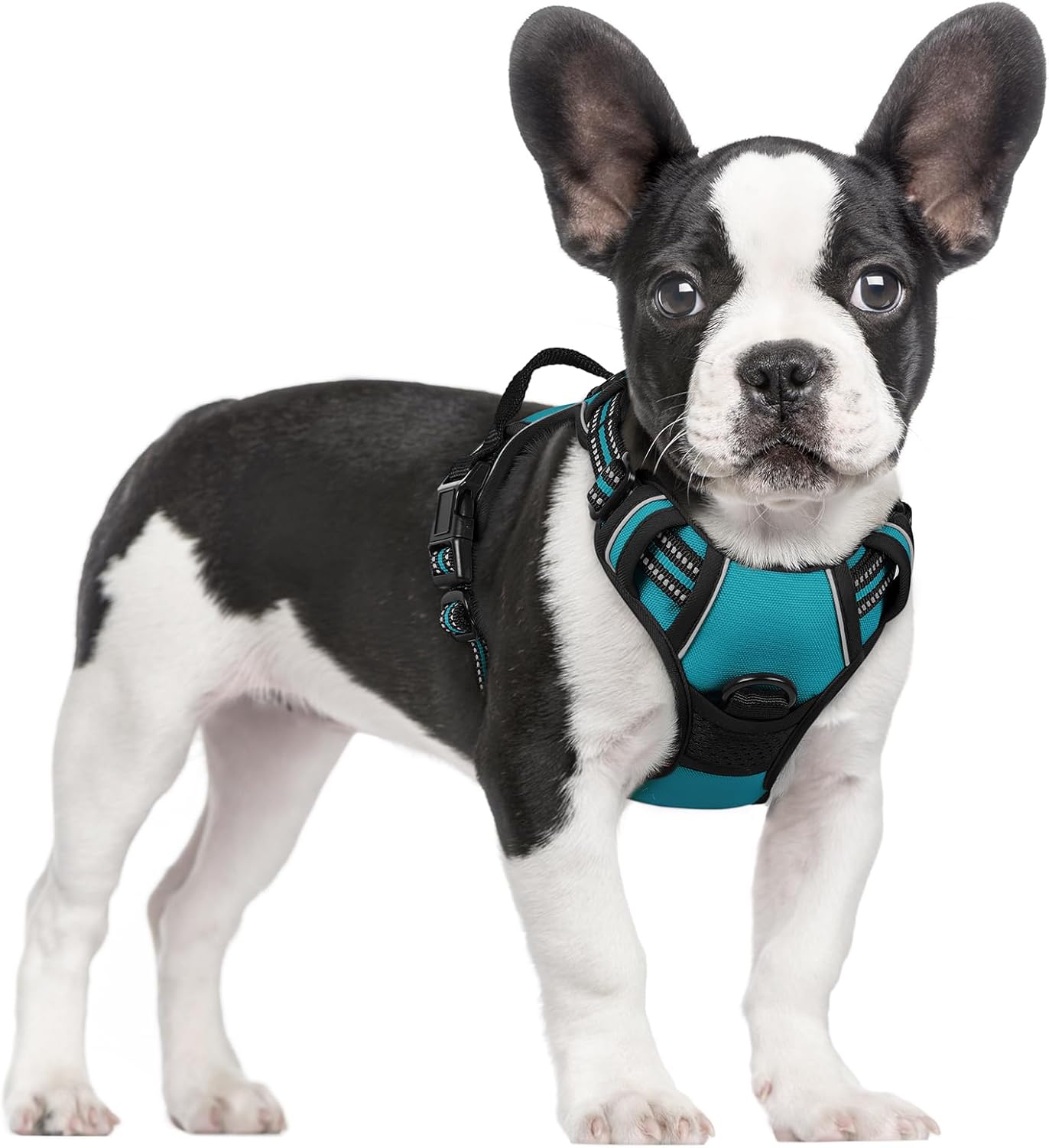 rabbitgoo Dog Harness No Pull with 2 Leash Clips, Adjustable Soft Padded, Reflective Oxford No Choke Pet Vest with Easy Control Handle for Small Dogs, Teal, S