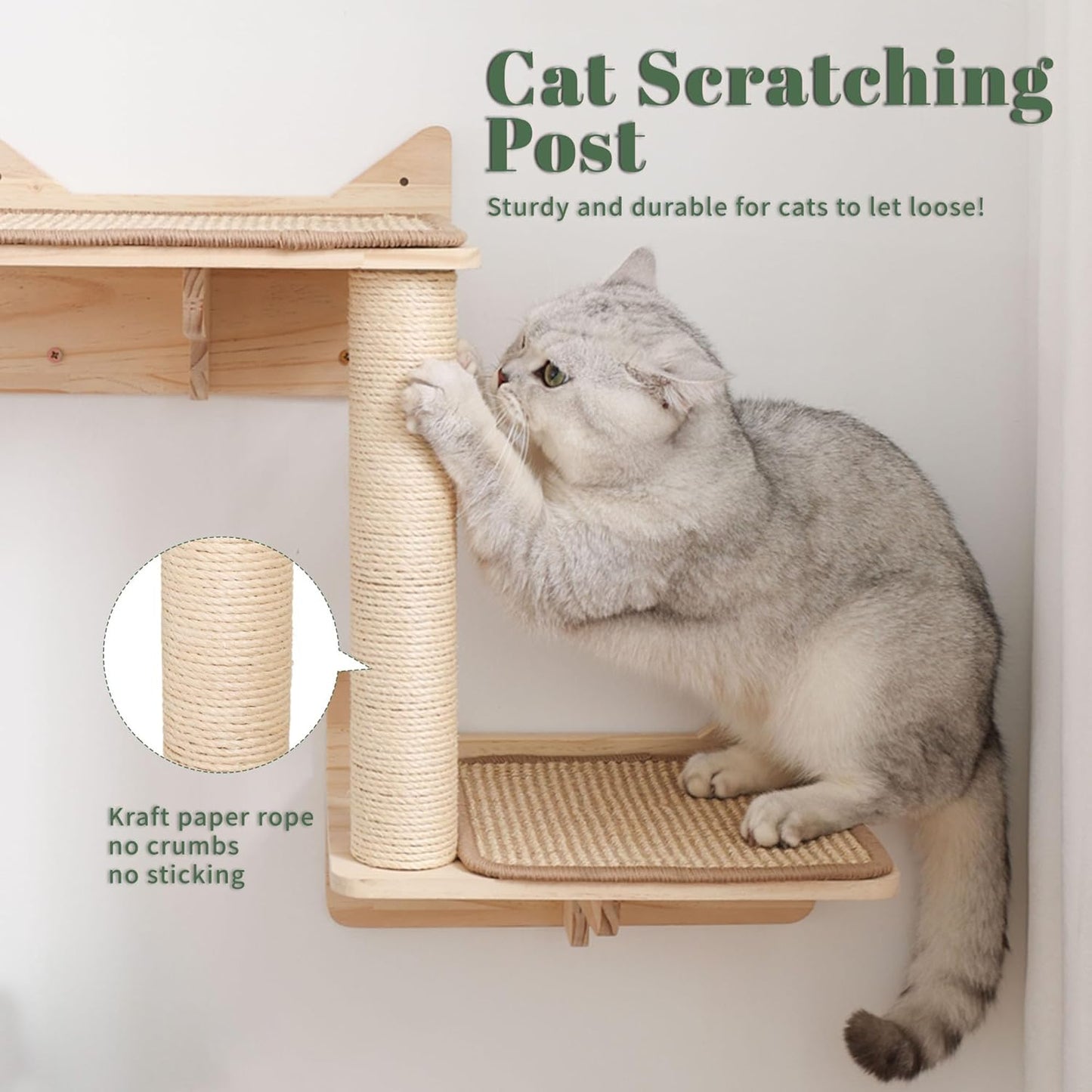 Cat Wall Shelves Set – Wall Mounted Cat Furniture with House, Sisal Mat, Scratching Posts & Perches – Indoor Climbing Shelves for Large Cats