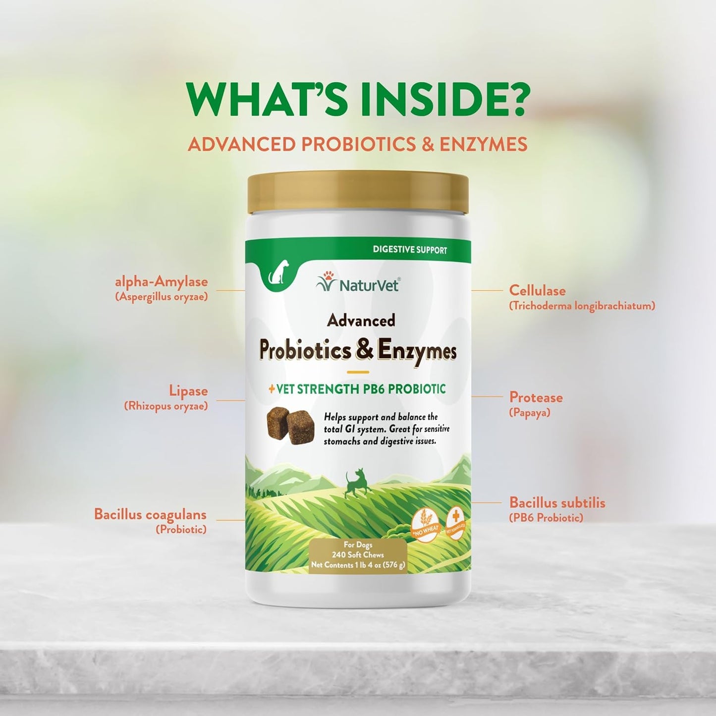 NaturVet Advanced Probiotics & Enzymes, PB6 Dog Soft Chews to Help Sensitive Stomachs and Digestive Issues, Hickory Smoked Bacon Flavored Pet Supplement for Dogs Over 6 Weeks, 240 Count Jar