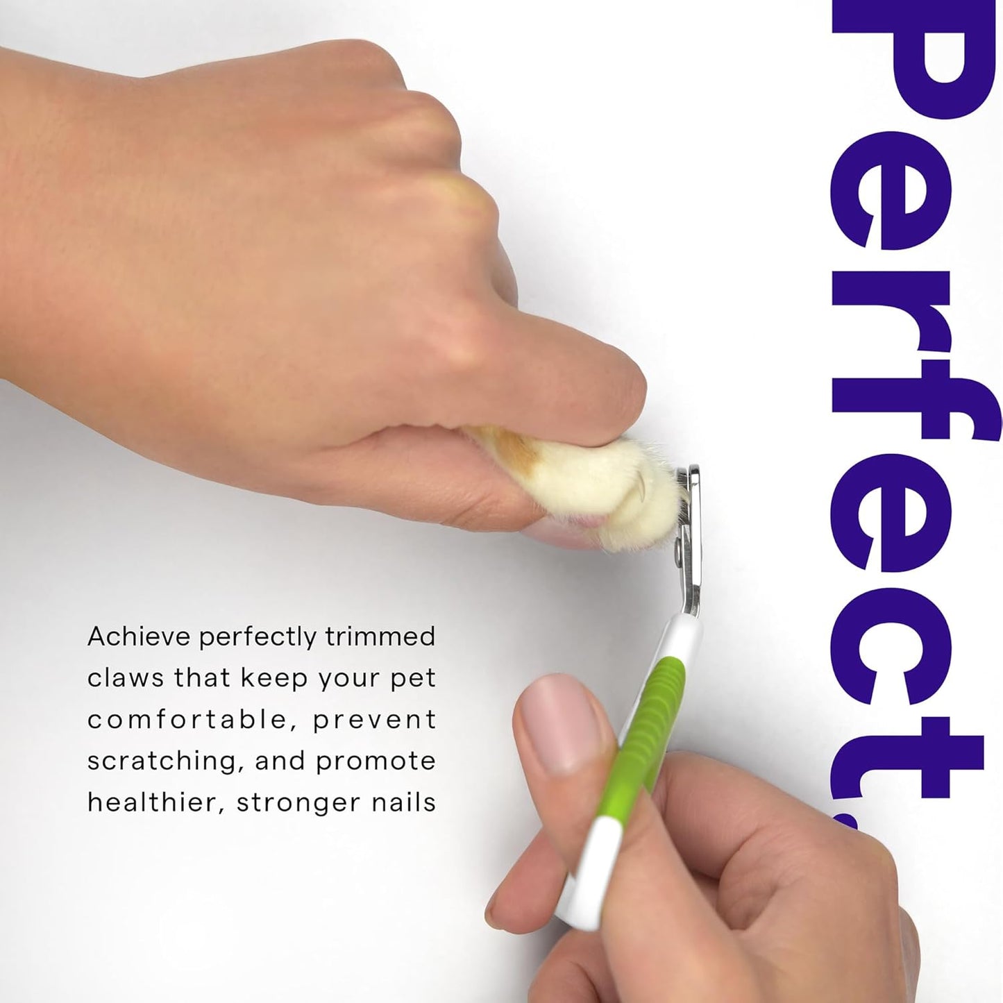 Cat Nail Clippers for Beginners and Groomers - Best Pet Nail Clippers & Claw Trimmer for Home Grooming Kit - Grooming Tool for Small Animals Tiny Dog Indoor Cat Bunny Rabbit Bird Kitten - Ebook Guide