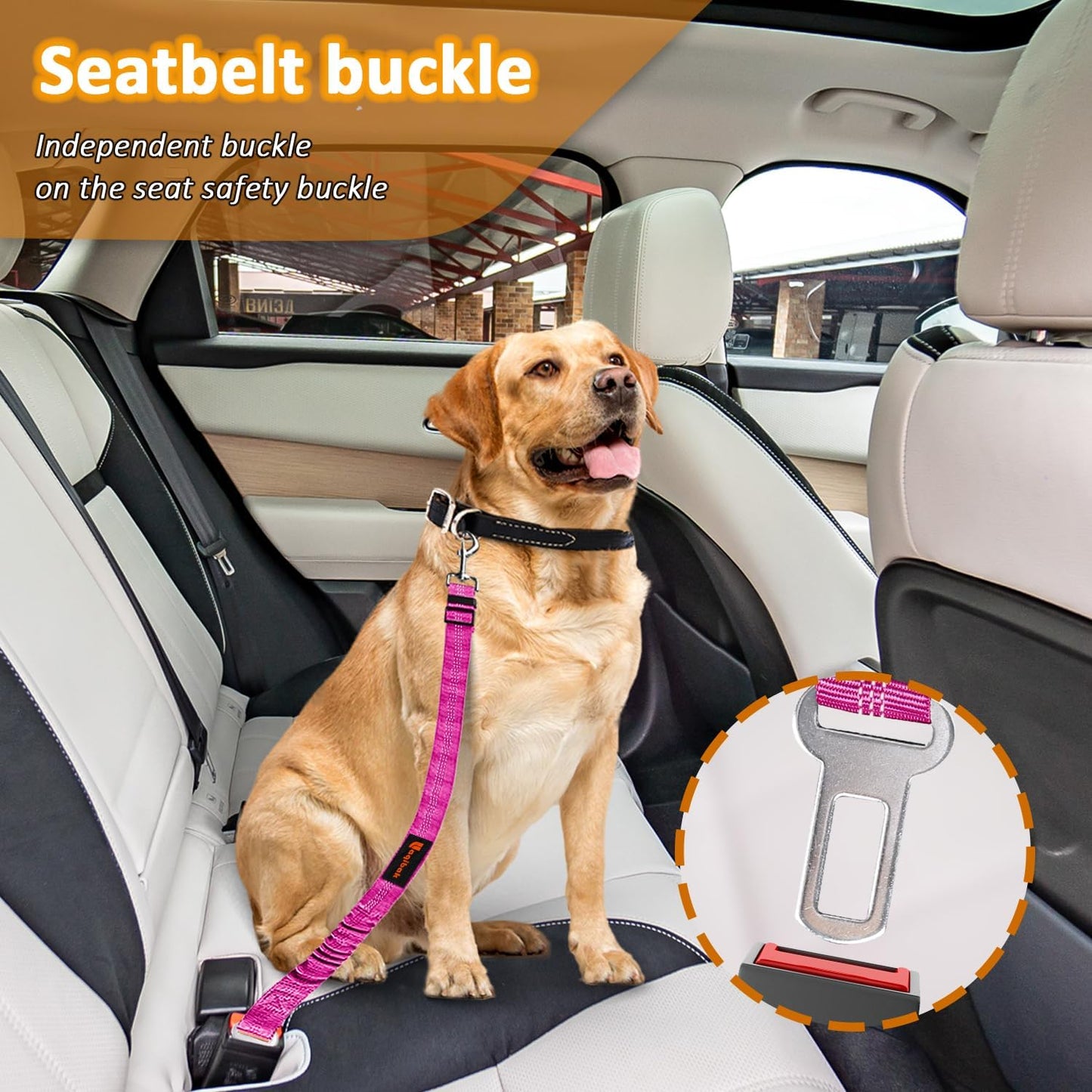 Removable Dog Seat Belt Harness for Car, 3 in 1 Pet Dog Car Seatbelt Leash, Retractable Restraint Secures to Vehicle Headrest & Adjustable Reflective Bungee Dog Seatbelt Tether, Rose and Black