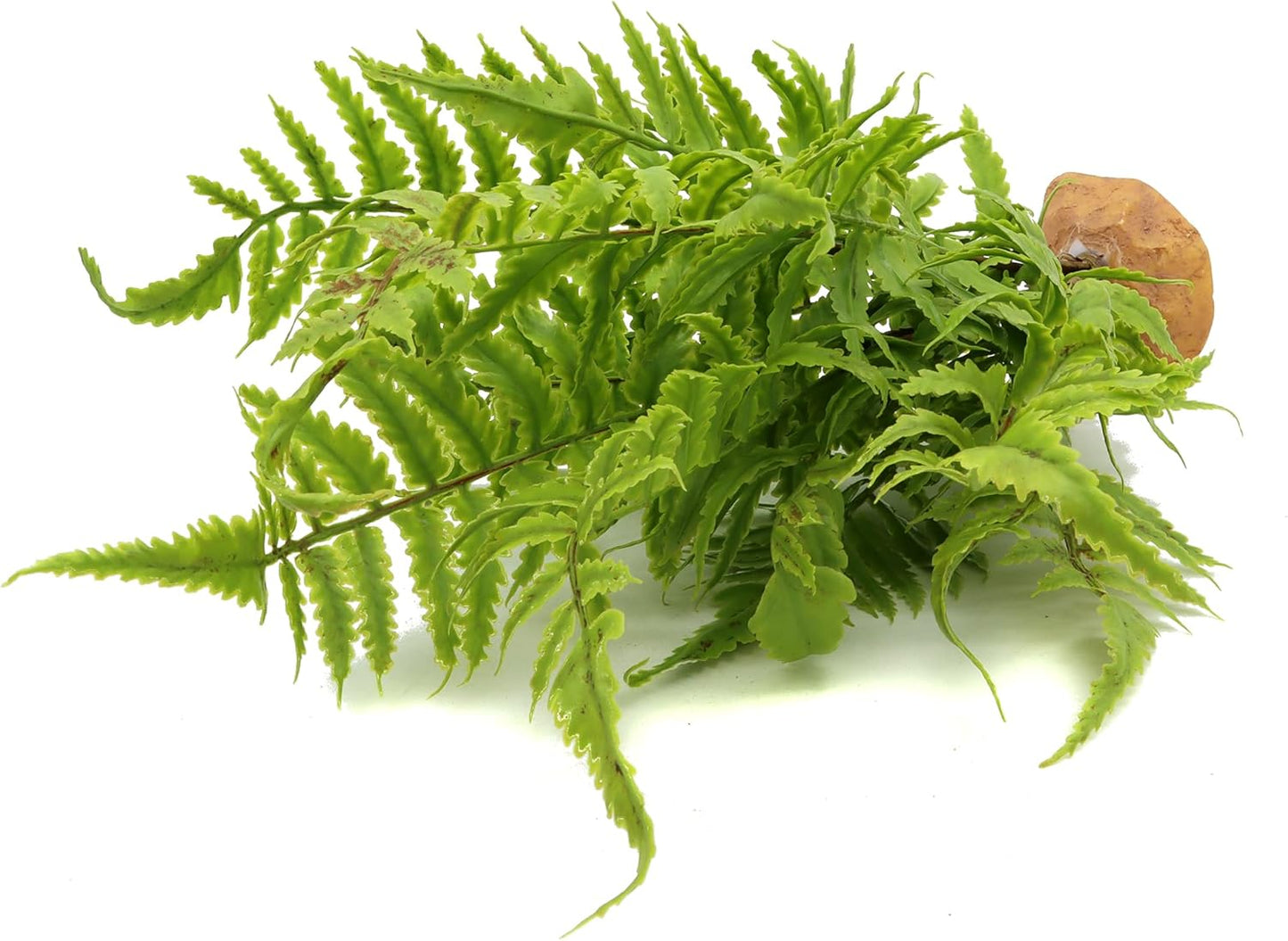 JIHAQUA Lifelike Reptile Tank Plant Decor - Realistic Artificial Plastic Plant for Terrariums and Pet Enclosures (Style B)