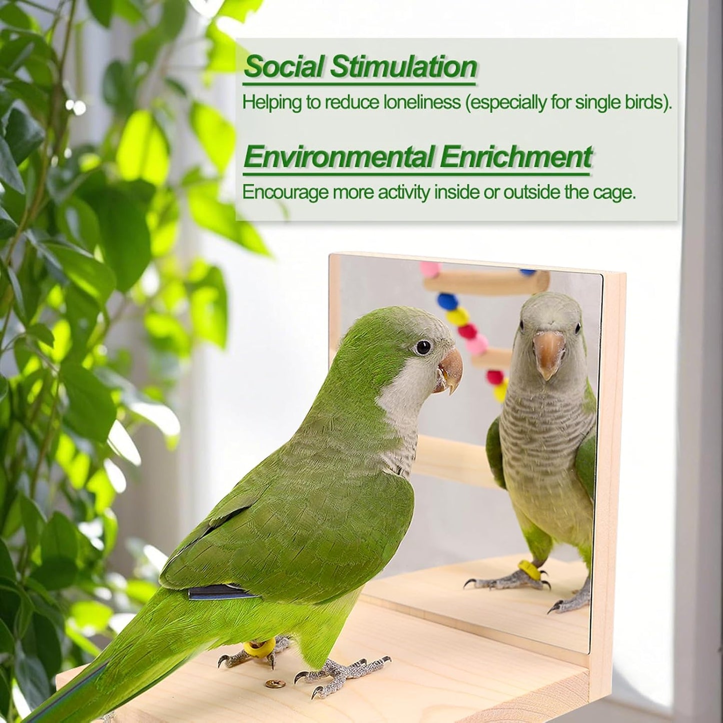 Wooden Bird Parrots Playground, Bird Perch Stand, with Bird Ladder Chewing Toys, Out of Cage Accessories