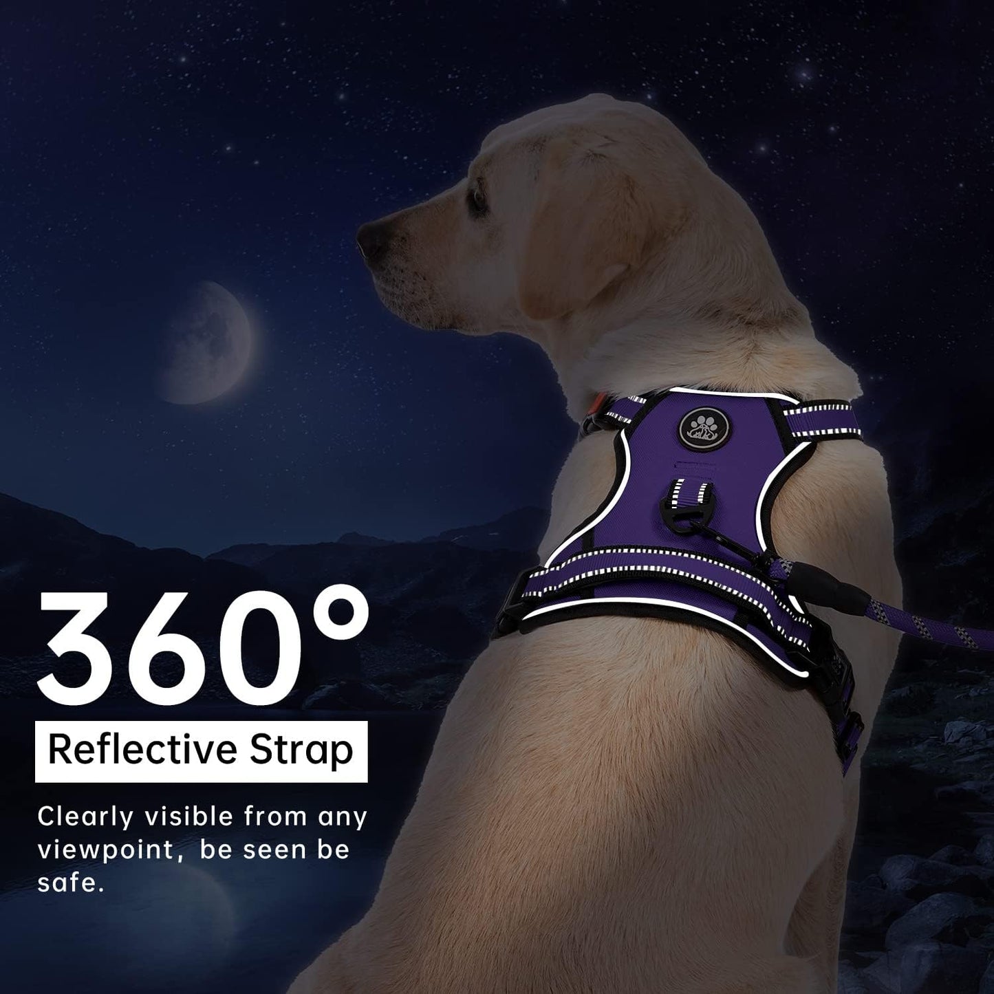 IVY&LANE No Pull Dog Harness for Medium Dogs, Dog Vest Harness with Leash, Safety Belt and Storage Strap, Fully Adjustable Harness, 360° Reflective Strip, Soft Handle (Purple, M)