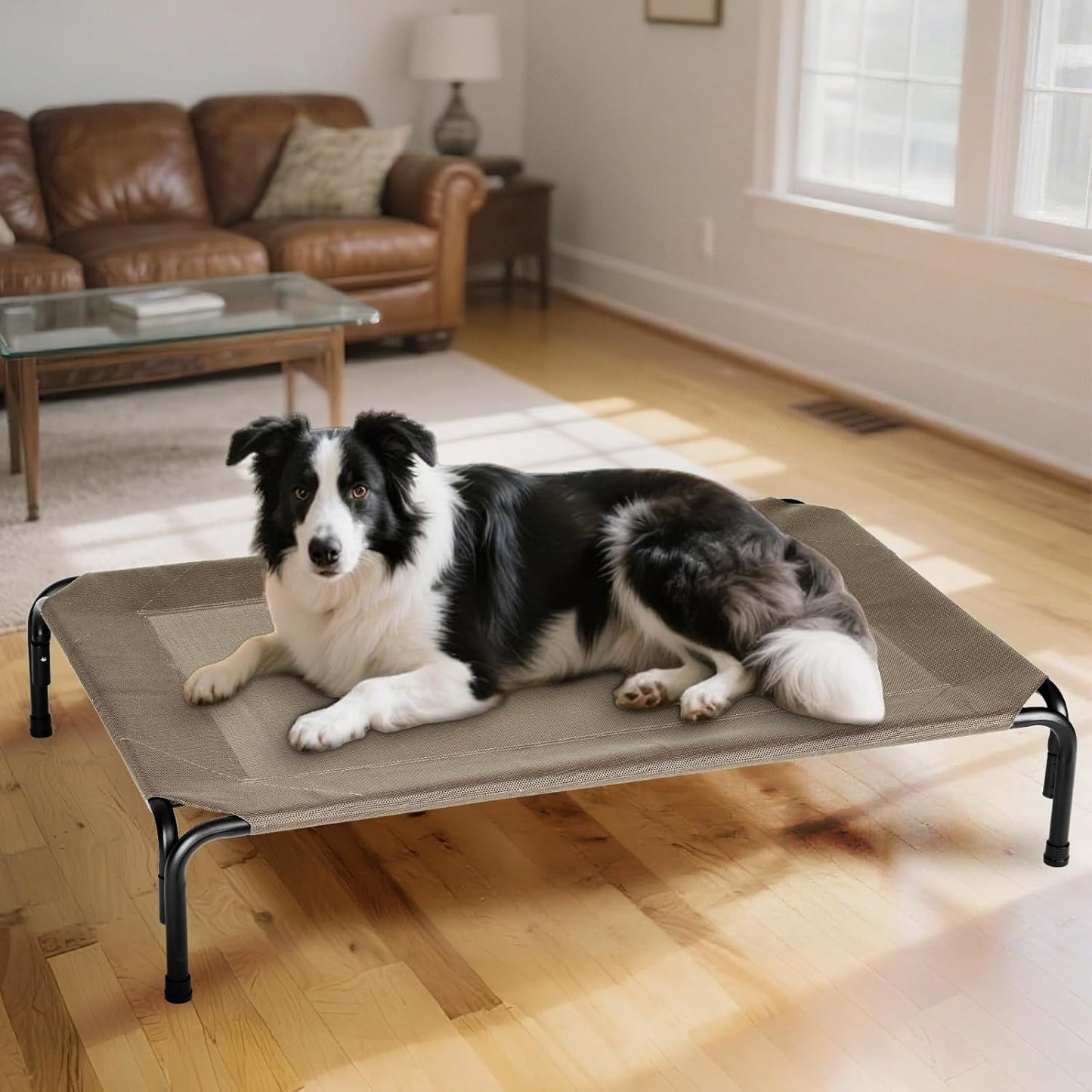 Elevated Dog Bed for Outdoor, XL Raised Dog Cot with Washable Mesh, Cooling Pet Cot Chew Proof for Outside Camping, 47 inch Brown
