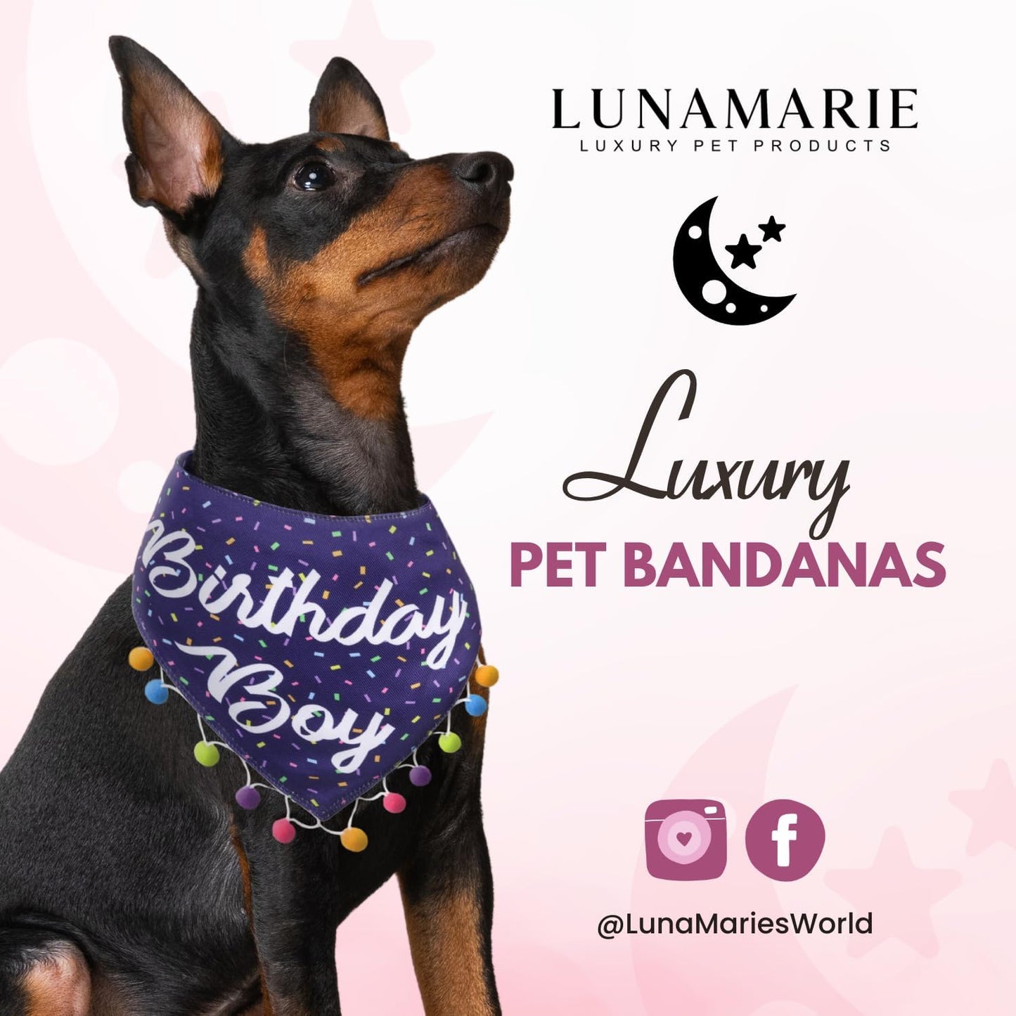 LunaMarie - Luxury Pet Birthday Bandanas -Premium & Silky Poly Fabric | 100% Handmade | Custom Shape Dual Layered (Birthday Boy, Medium)