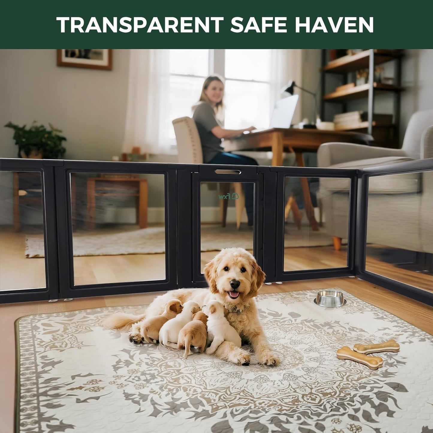 FXW AuraSpace Acrylic Indoor Unleashed Dog Playpen for Puppies and Small Dogs, 24 Inch, 16 Panels, Black