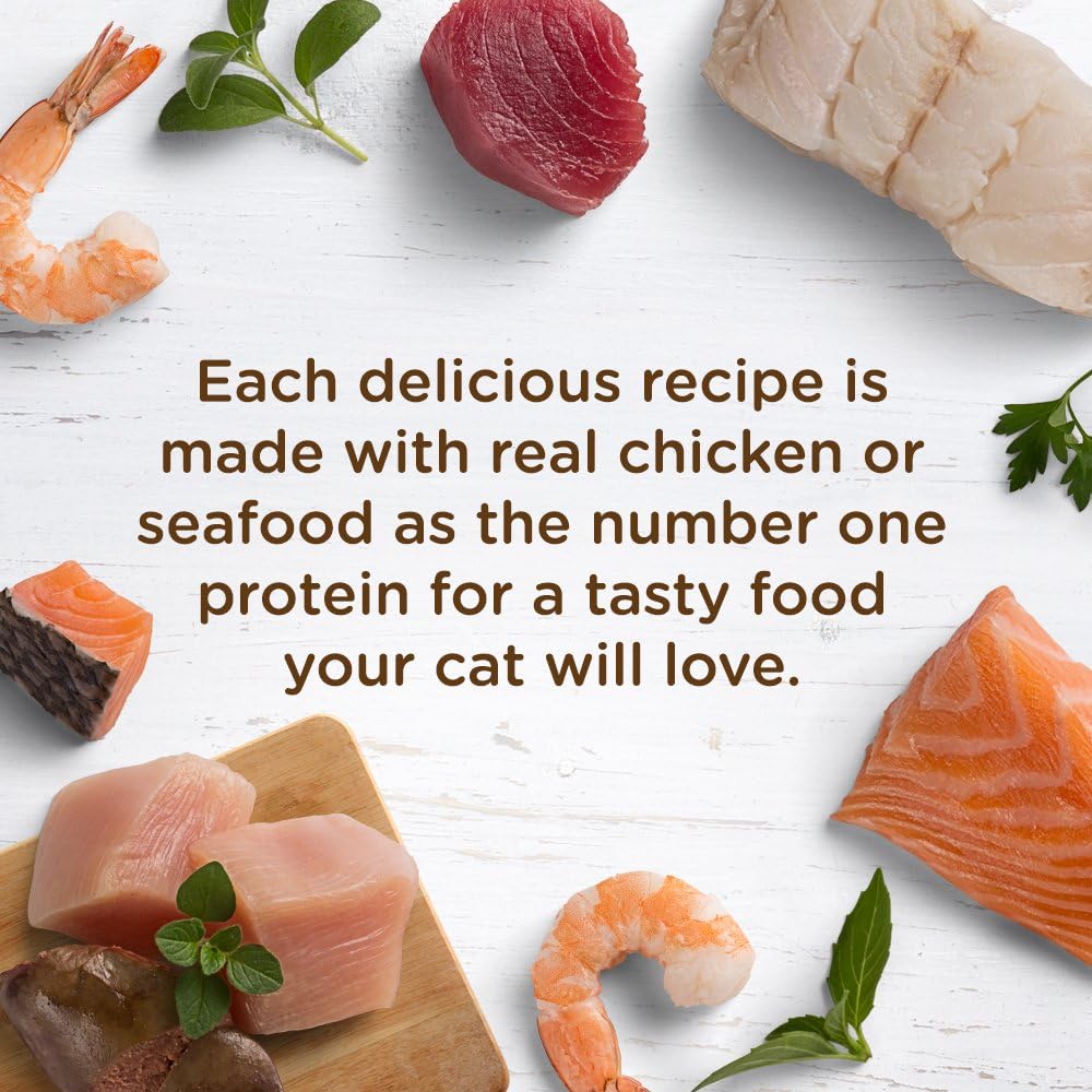 Rachael Ray Nutrish Natural Premium Wet Cat Food, Chicken Purrcata, 2.8 Ounce Tub (Pack of 12), Grain Free