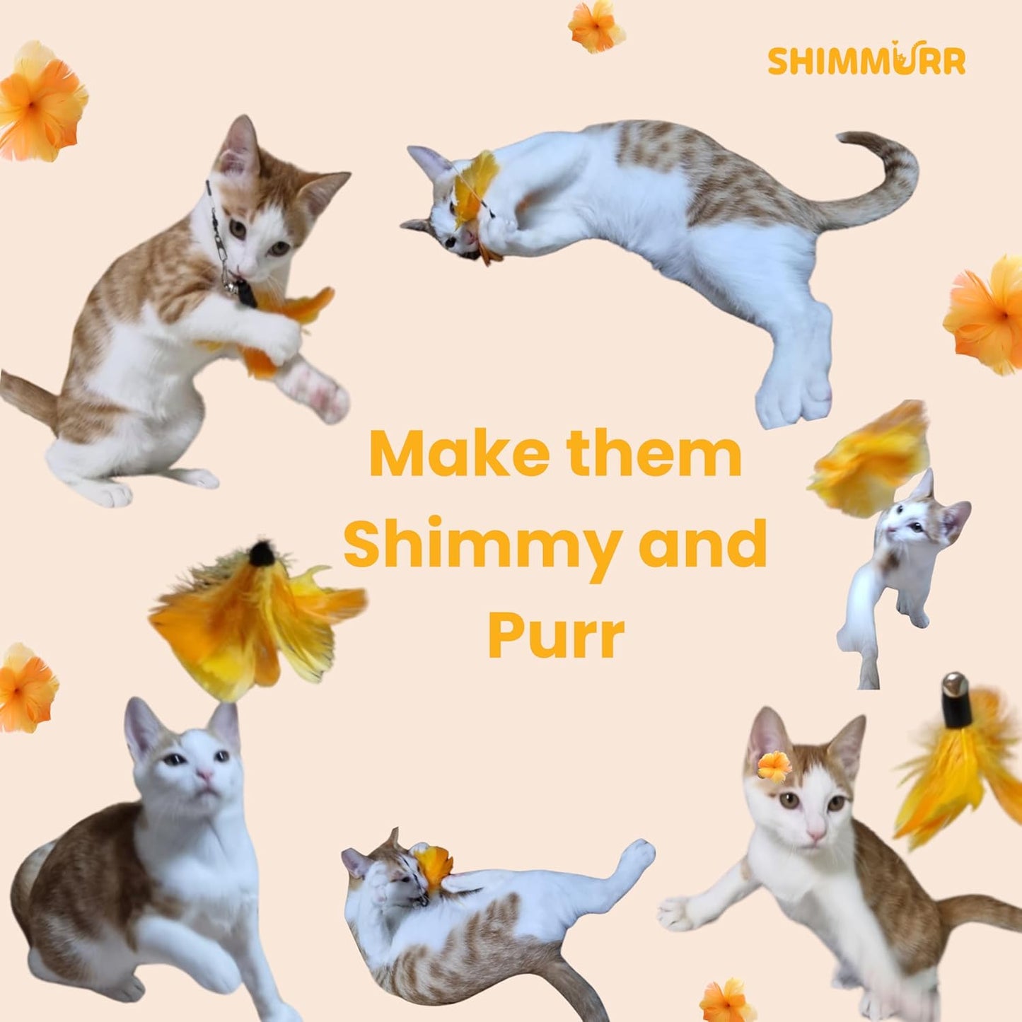 Cat Feather Wand Toy - 38" Retractable Cat Wand Toy with Orange Feather Flower Teaser Refill for Indoor Cats and Interactive Play