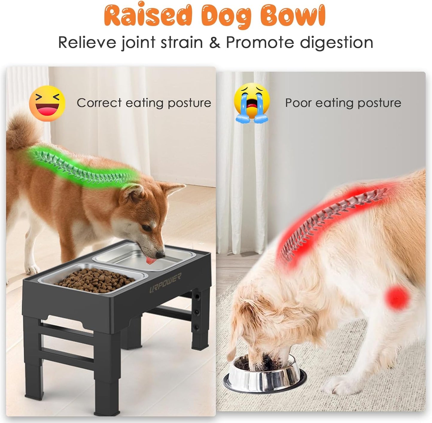URPOWER Elevated Dog Bowls 4 Height Adjustable Raised Stand with 2 Large Stainless Steel Dog Food and Water Bowl for Small, Medium, Large Dogs and Pets