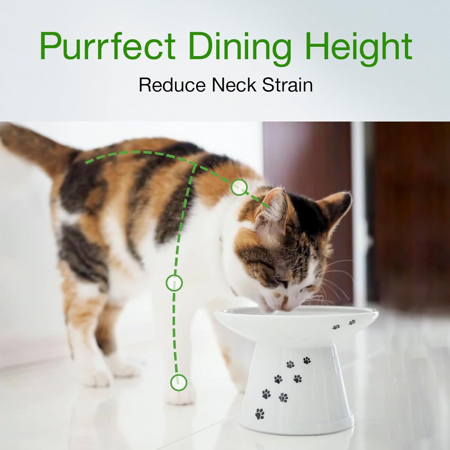 Necoichi Extra Wide Raised Cat Food Bowl, Elevated, Prevent Neck & Whisker Fatigue, Dishwasher and Microwave Safe, No.1 Seller in Japan! (Cat, Extra Wide)