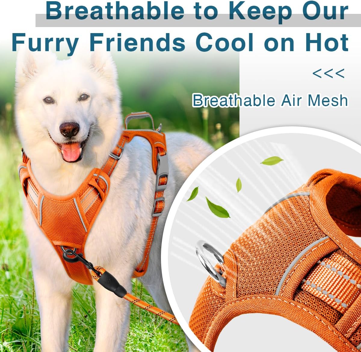 BARKBAY Dog Harness No Pull with ID Tag Pocket - Heavy Duty, Reflective, Easy Control for Large Dogs(Orange,M)