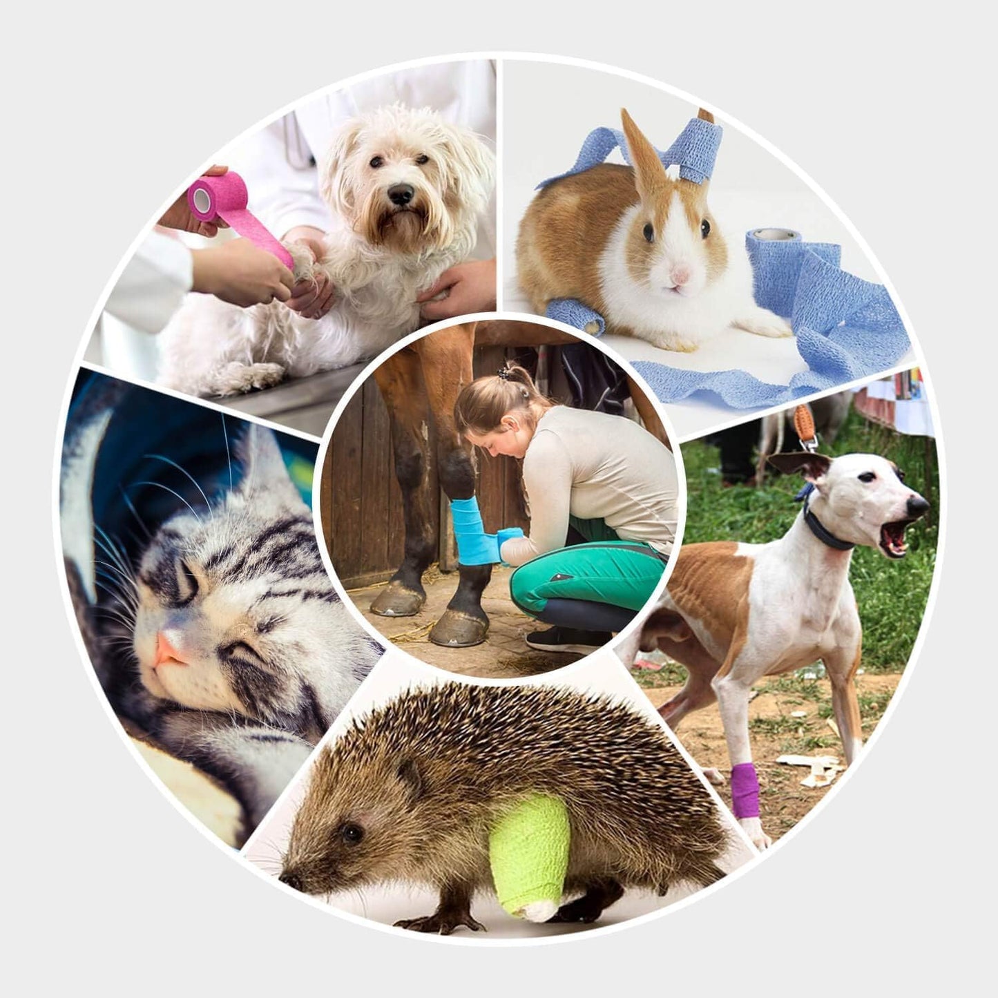 WePet Pet Wrap, Self-Adhesive, Only Sticks to Itself, Non-Woven Tape for Dog Legs, Paws, Wounds, First Aid Cohesive Gauze for Horse, Cat, Bird, Animal, 6 Rolls, 2 Inch, Solid Color