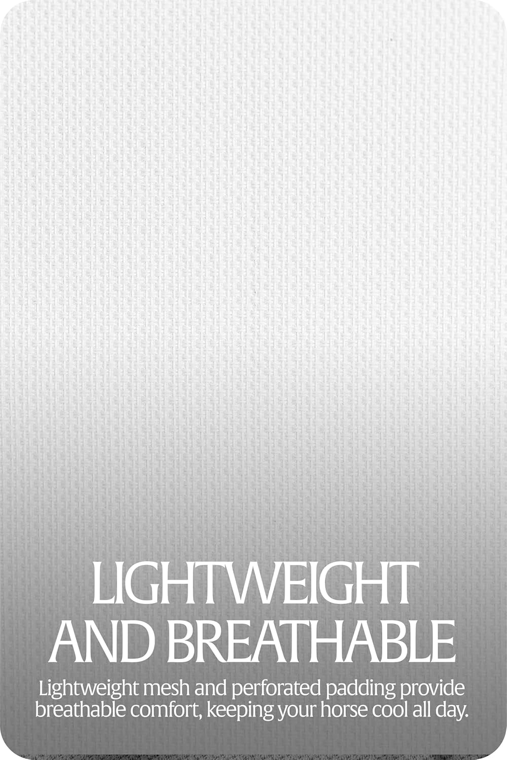 Equinavia Algard Soft Mesh Horse Fly Mask with Ear Protection and 45 UPF Rating | No Eye Irritation & UV Protection - Silver - Cob