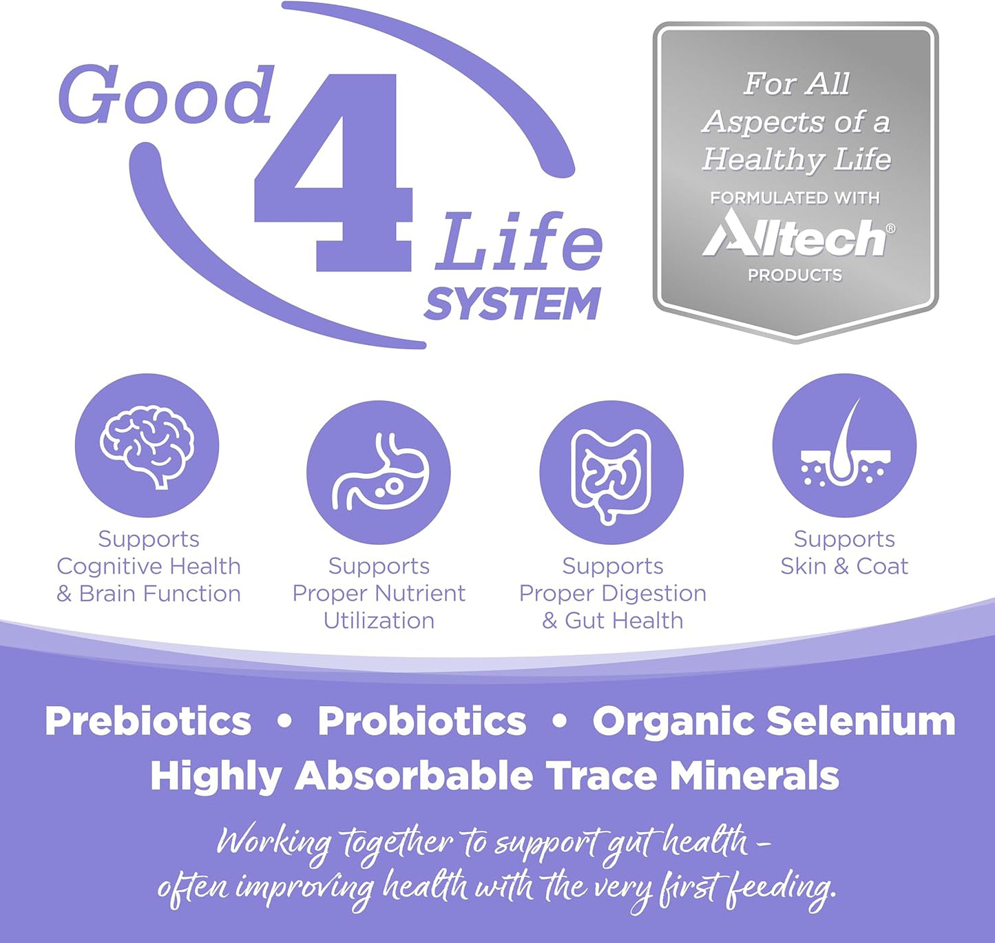 NutriSource Element Series Upland Stream Dry Dog Food, Quail, Rabbit & Trout, 4LB