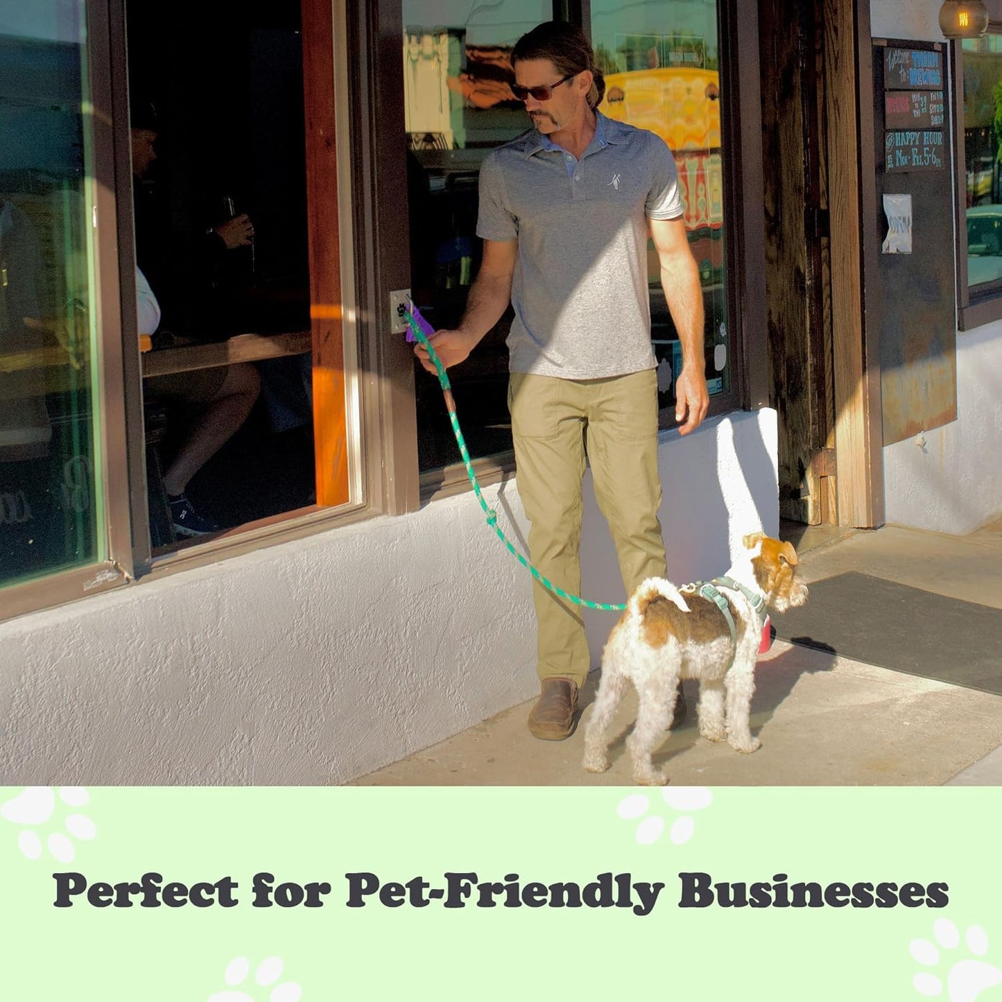 Canine Hitch- Secure Dog Leash Parking Mounted Indoor – Outdoor Wall Hook - Tie Out Stainless Steel Practical Lead Management for Home & Business, Ultimate Strength 6 Packs