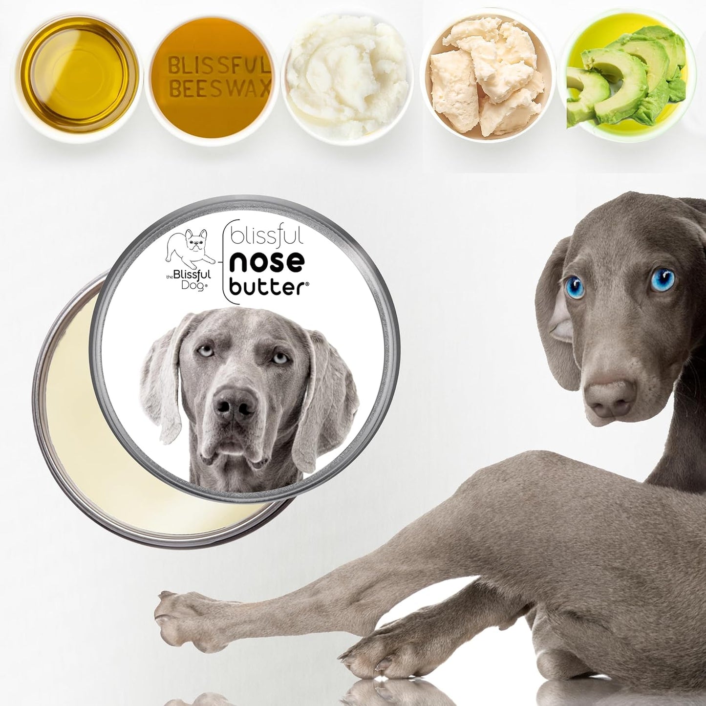 The Blissful Dog Weimaraner Nose Butter for Dry, Cracked Skin, Lick-Safe Dog Nose Balm with Moisturizing Shea Butter, Almond, Olive, and Essential Oils, Pet Supplies, Uncented, 2 oz.