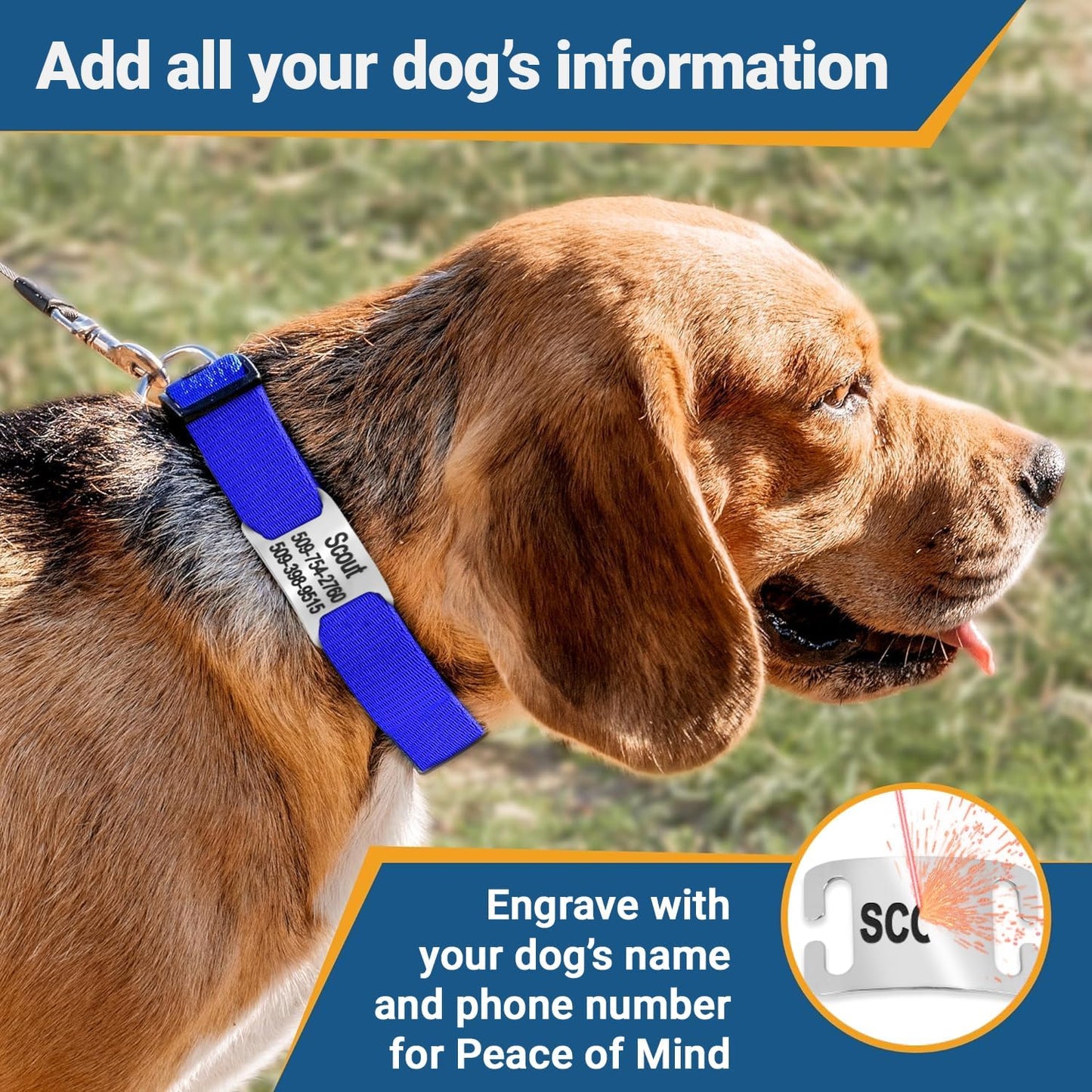 GoTags Reflective Personalized Dog Collar with Nameplate, Adjustable Dog Collar with Custom Engraved Steel Slide On Pet ID Tag, Silent, No Noise Dog Tag for Large Medium or Small (Pink, Large)