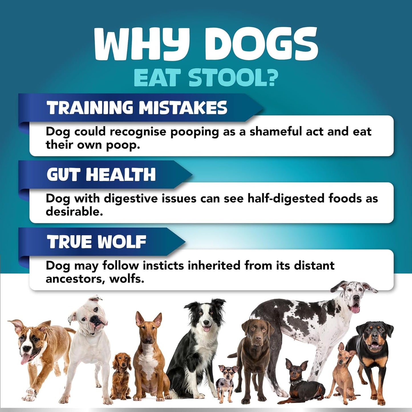 Kinpur Pet Care No Poo Behavior Chews - Help Beat The Habit with Natural Pumpkin, Broccoli, Chamomile, Chicken Liver & More - Forbids Poop Eating - Coprophagia Stool Eating Deterrent Beef Treats