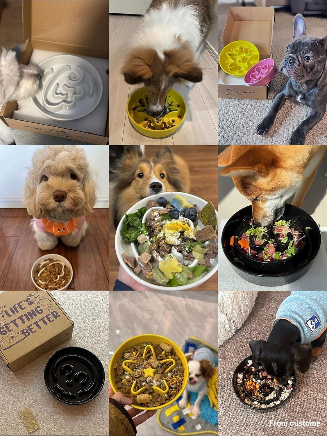 LE TAUCI Ceramic Slow Feeder Dog Bowls Small Breed, 0.6 Cups Elevated Dog Bowl for Fast Eaters, Puzzle Bowl for Small Dogs and Cats,Angle White