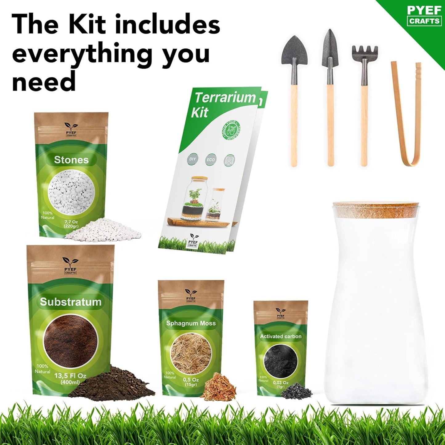 DIY Terrarium Kit for Adults – Build Your Own Self‑Sustaining Closed Ecosystem – 34 fl oz (1‑Liter) Glass Terrarium – Succulents, Air Plants, Fittonia, Fern – Plants Not Included