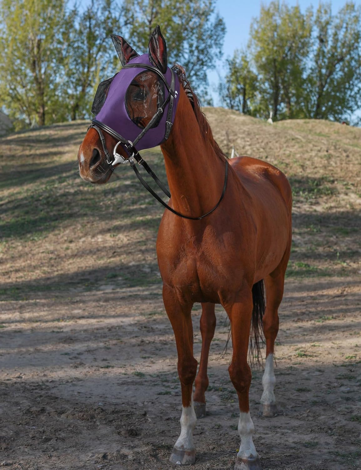 Horse Fly Mask with Ears, UV Protection for Horses, Elasticity with Big Mesh Eye Covers, Snug Fitting Comfortable Breathable Lightweight for Horses Deep Purple Cob