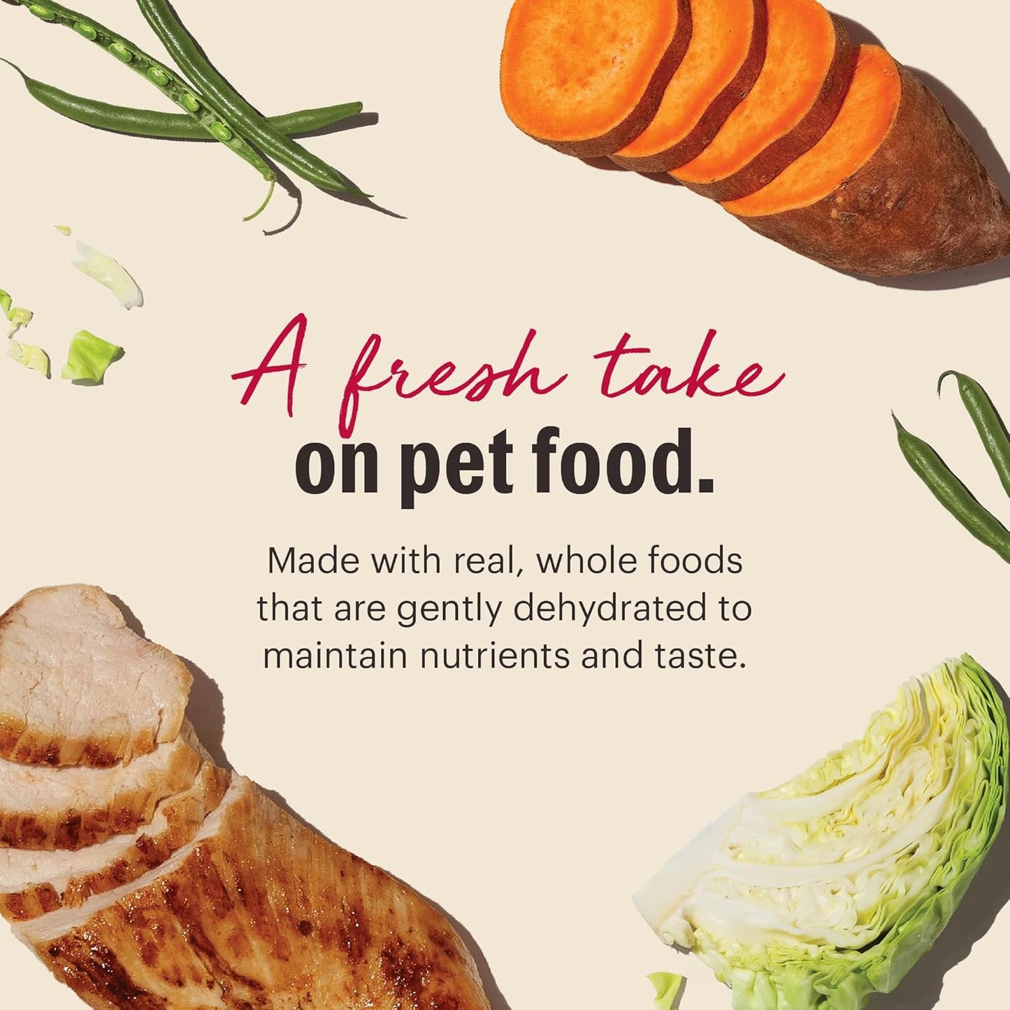 The Honest Kitchen Wholemade™ Grain Free Chicken Dog Food, 1.5 oz x10