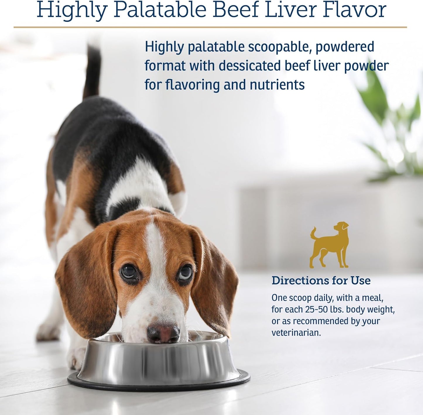 Rx Vitamins Essentials for Dogs - Daily Vitamins & Minerals - with Blue Spirulina, Kelp Powder, and Milk Thistle - Complete Canine Vitamins and Essential Minerals Powder - 8 oz