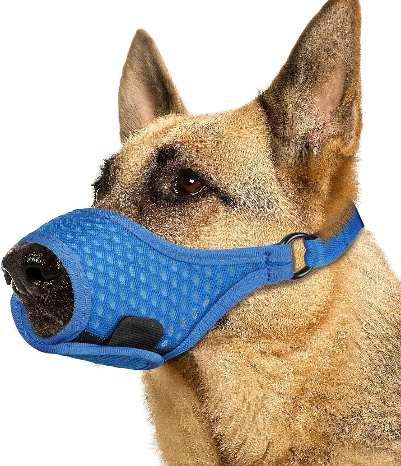 LUCKYPAW Soft Muzzle for Medium Large Sized Dogs Beagle Labrador German Shepherds, Dog Muzzle to Prevent Biting Chewing, Adjustable Breathable Mouth Guard for Grooming Walking Training(Blue, XL)